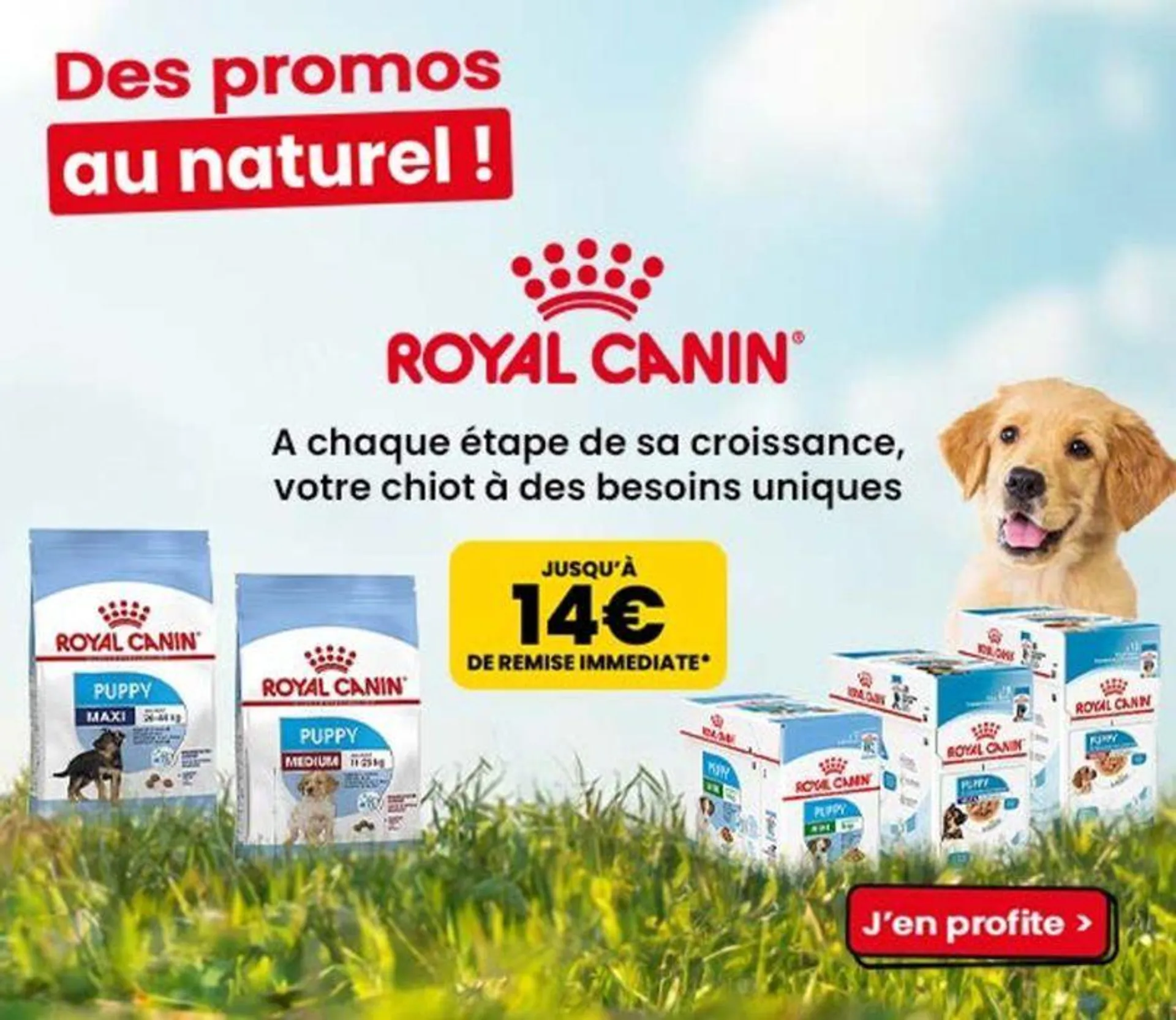 Des promos au naturel ! - 1