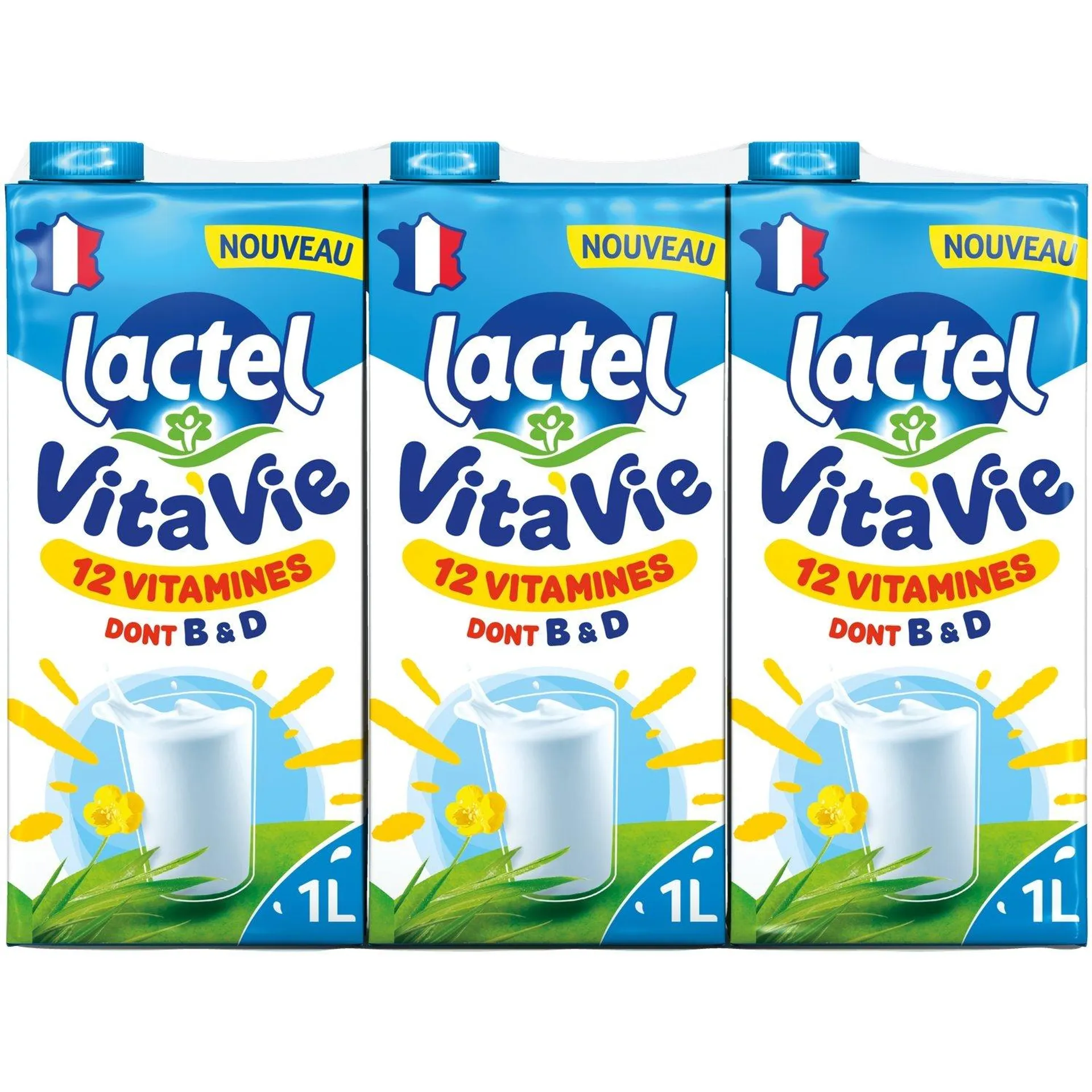 Lait Vitaminé 1,0% MG Vita'Vie LACTEL