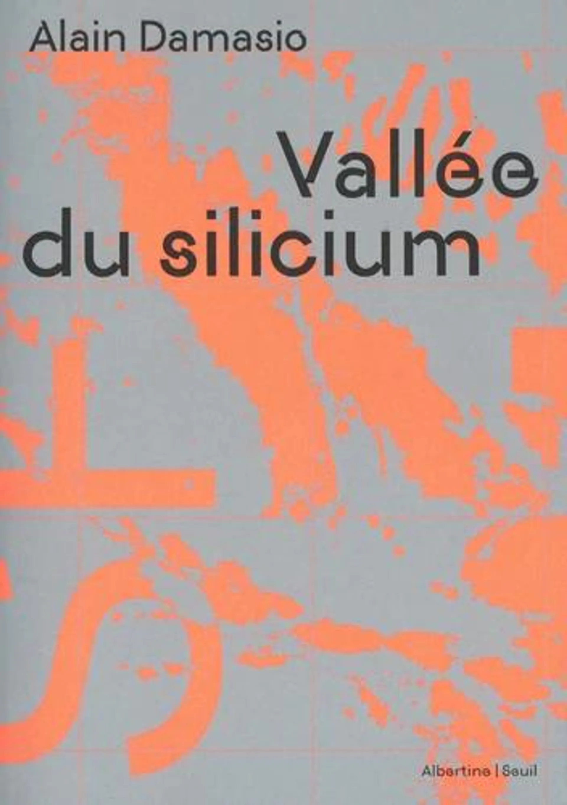 Vallée du silicium - Grand Format