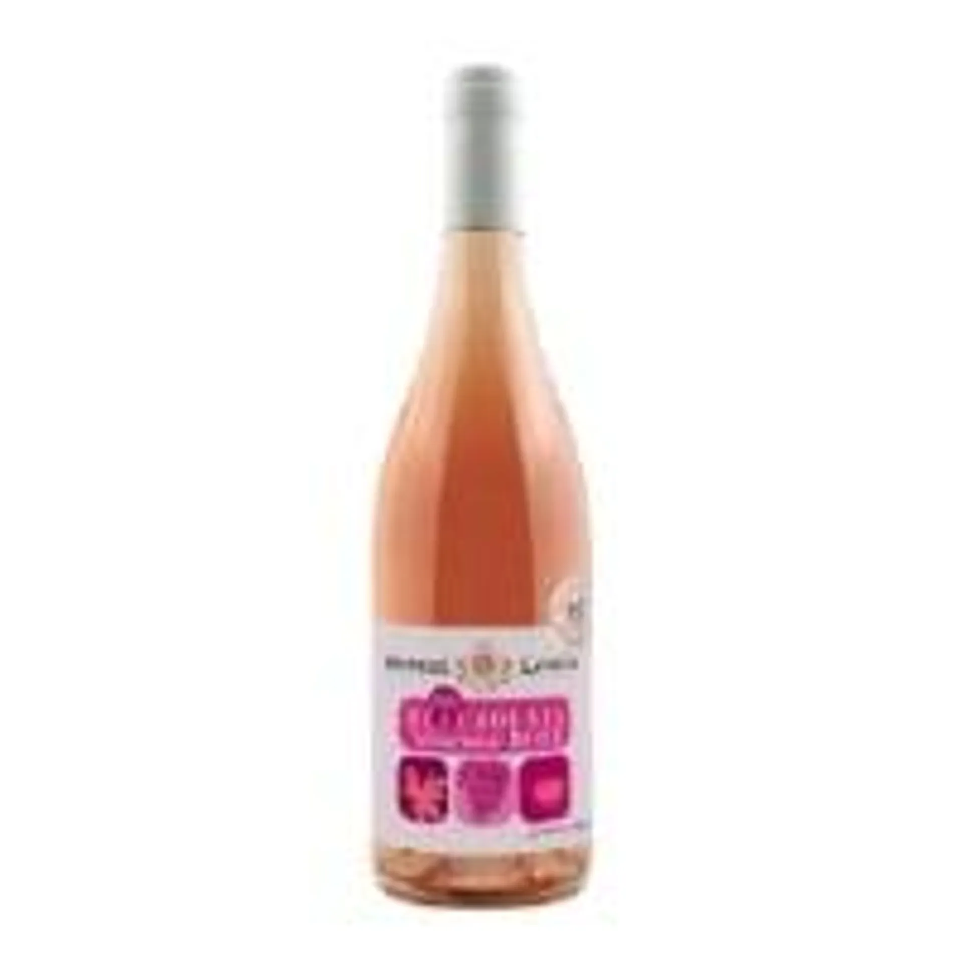 Vin Rosé Beaujolais Nouveau 2024 HONORE LAVIGNE