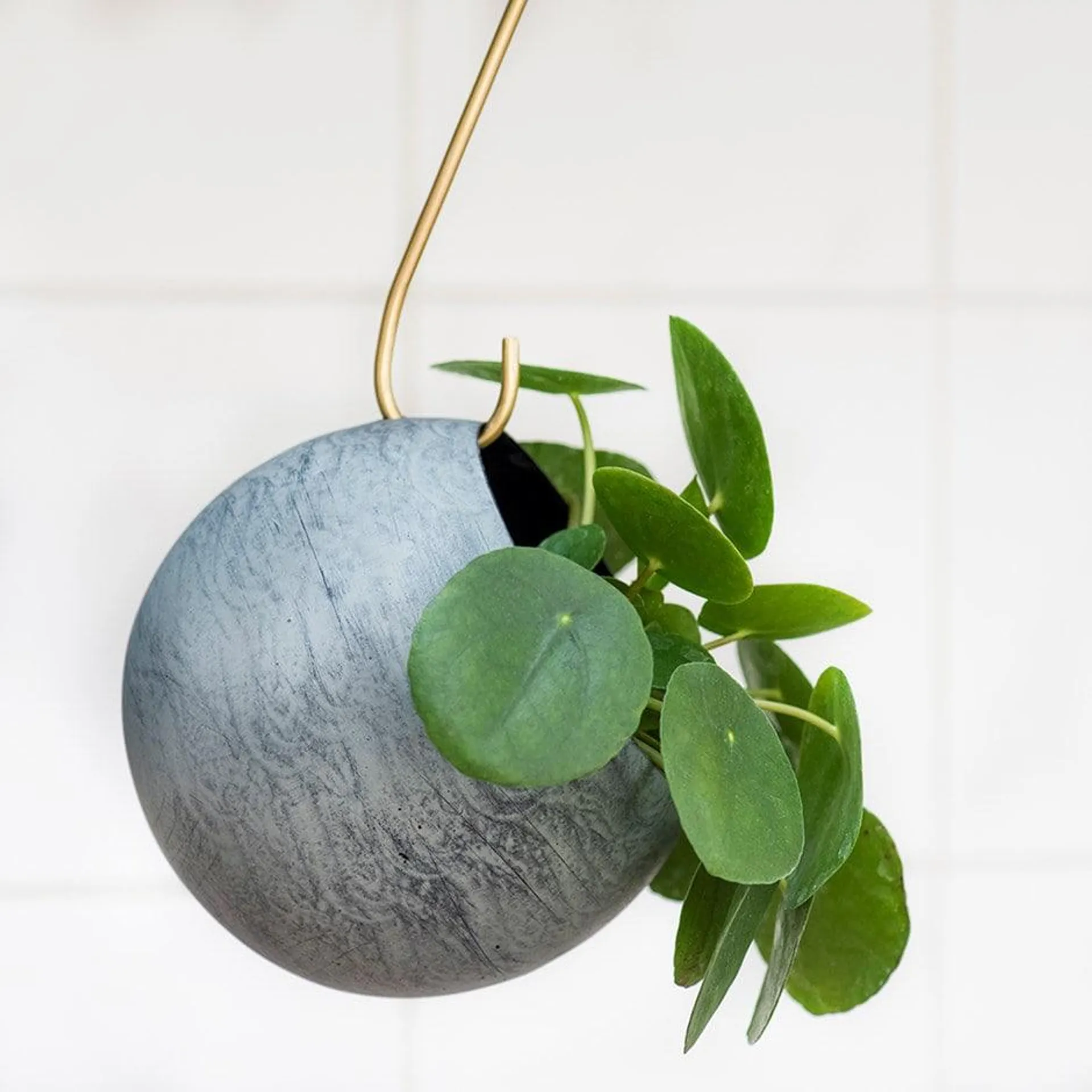 Sphere plant holder - aged zinc