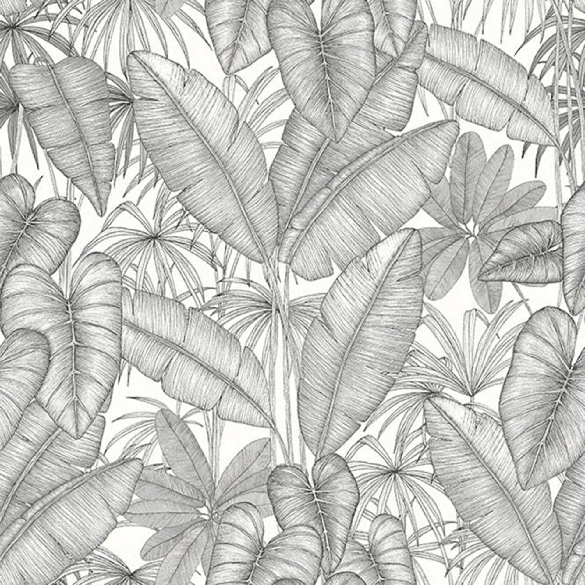 Adelaide Tropical wallpaper in mono