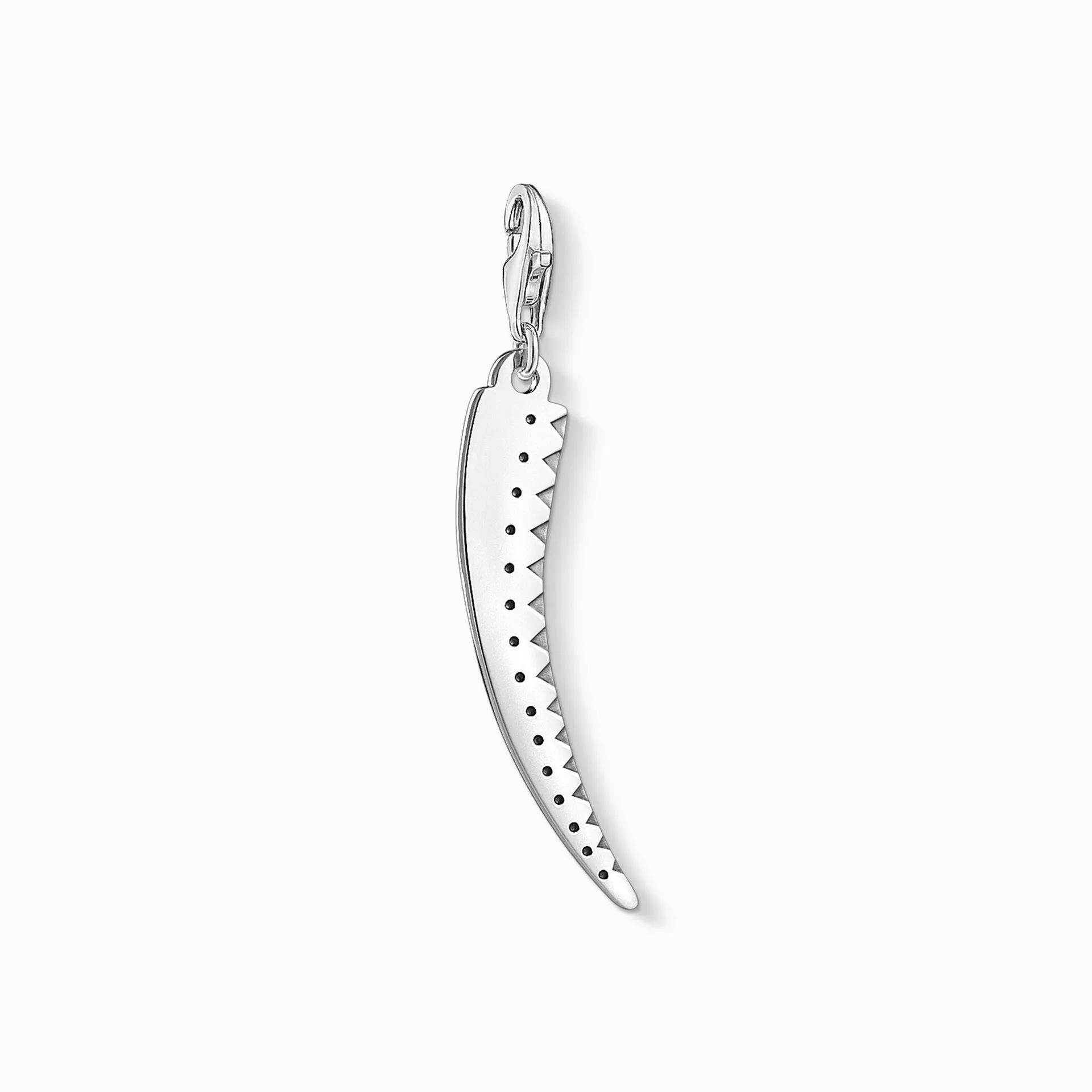 Charm pendant silver tooth
