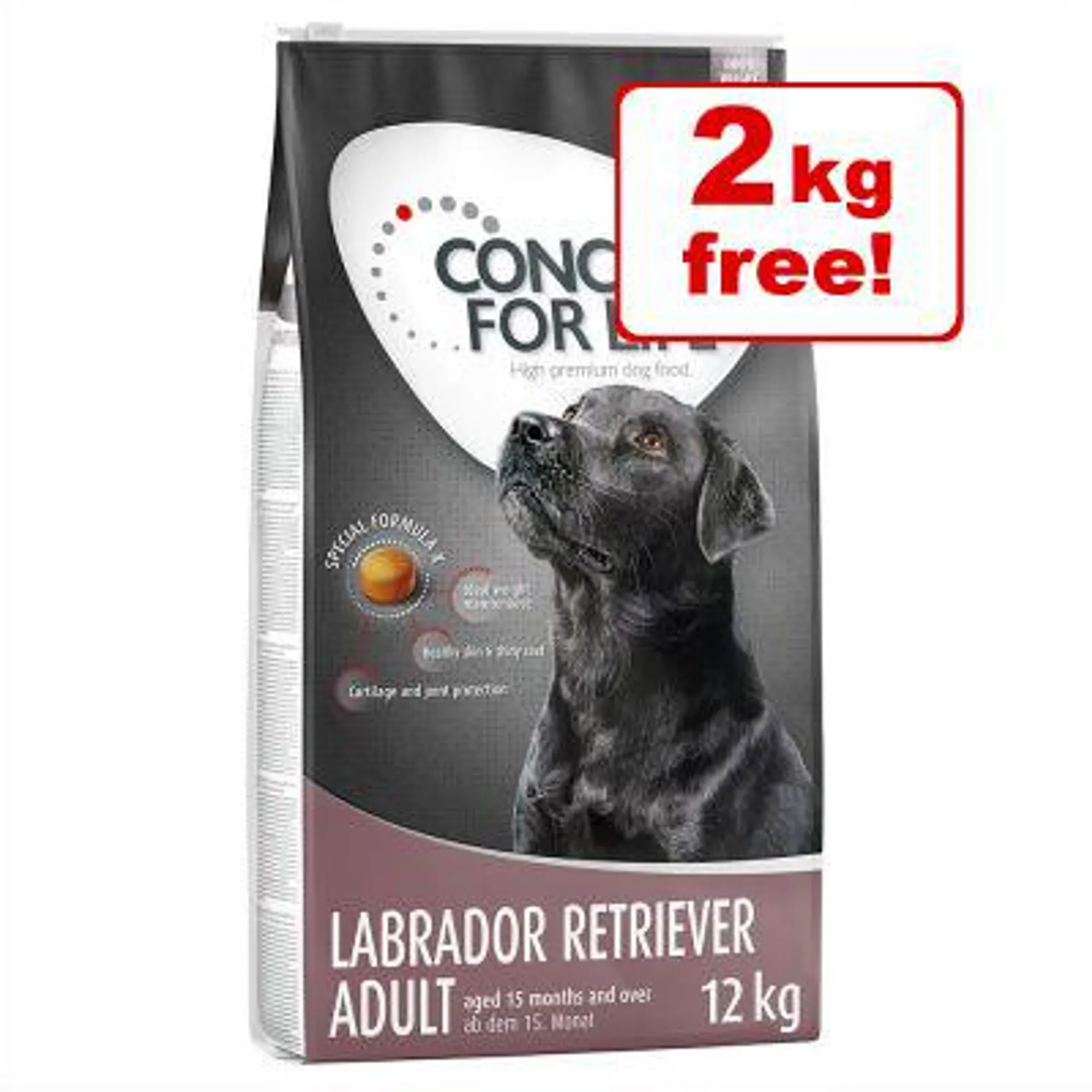 12kg Concept for Life Dry Dog Food - 10 + 2kg Free!*