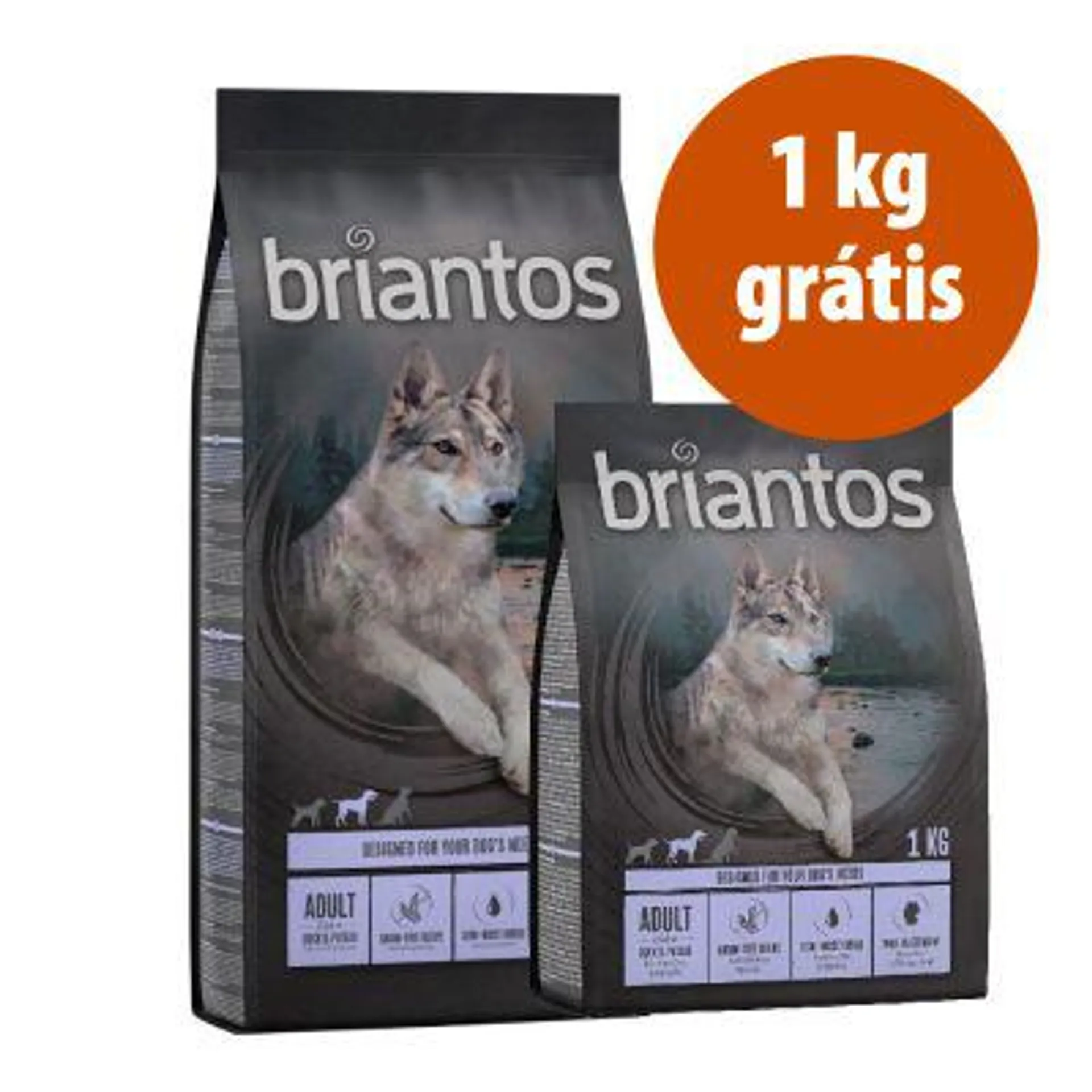 Briantos SEM CEREAIS 13 kg ração para cães em promoção: 12 kg + 1 kg grátis!