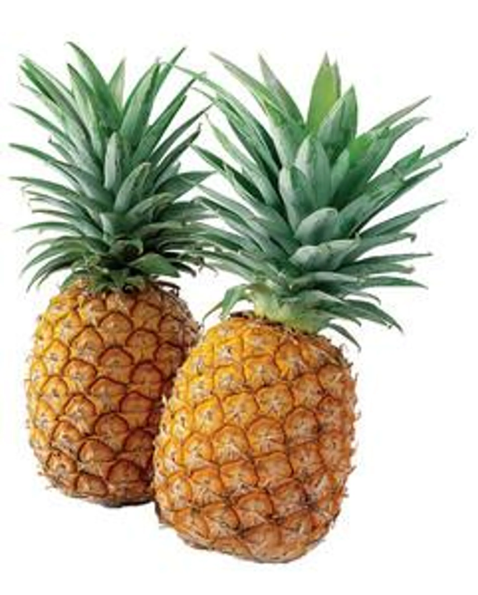 Ananas Via Mare