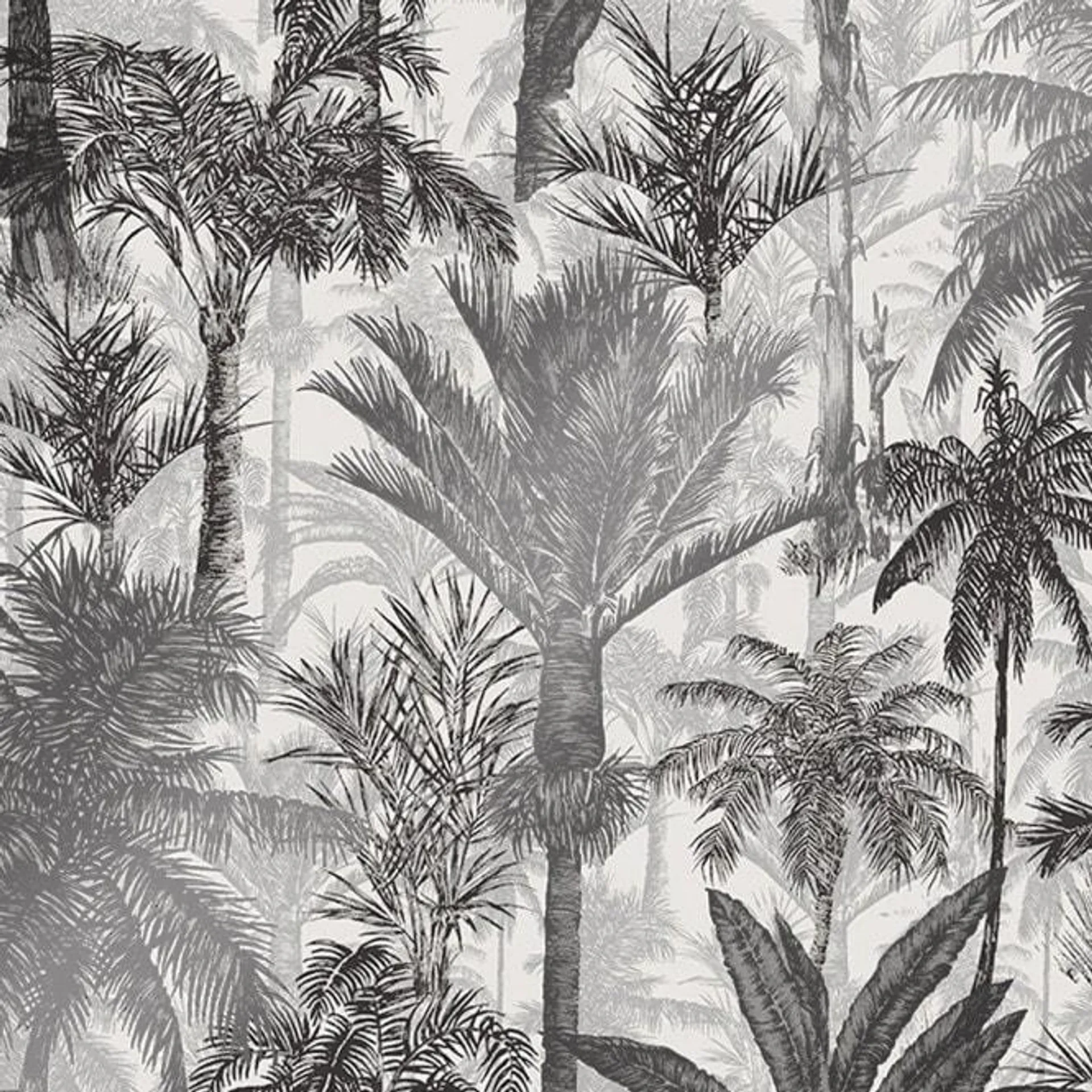 Palmetto Tropical wallpaper in black & white