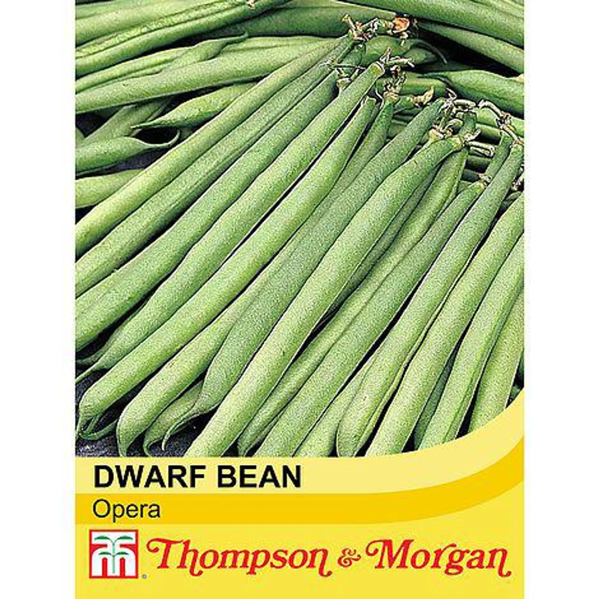 Dwarf Bean 'Opera'