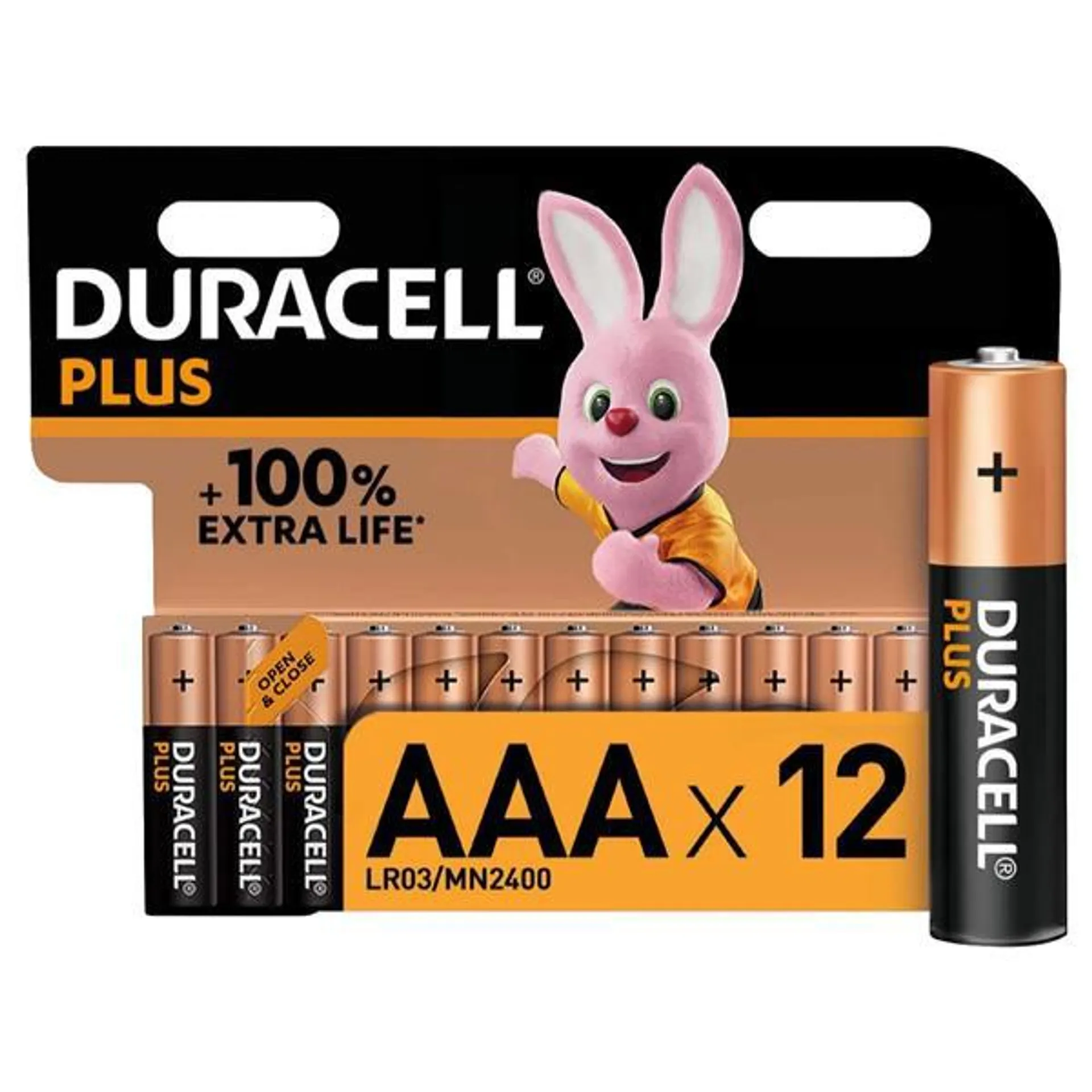 Plus Aaa Batteries 12 Pack