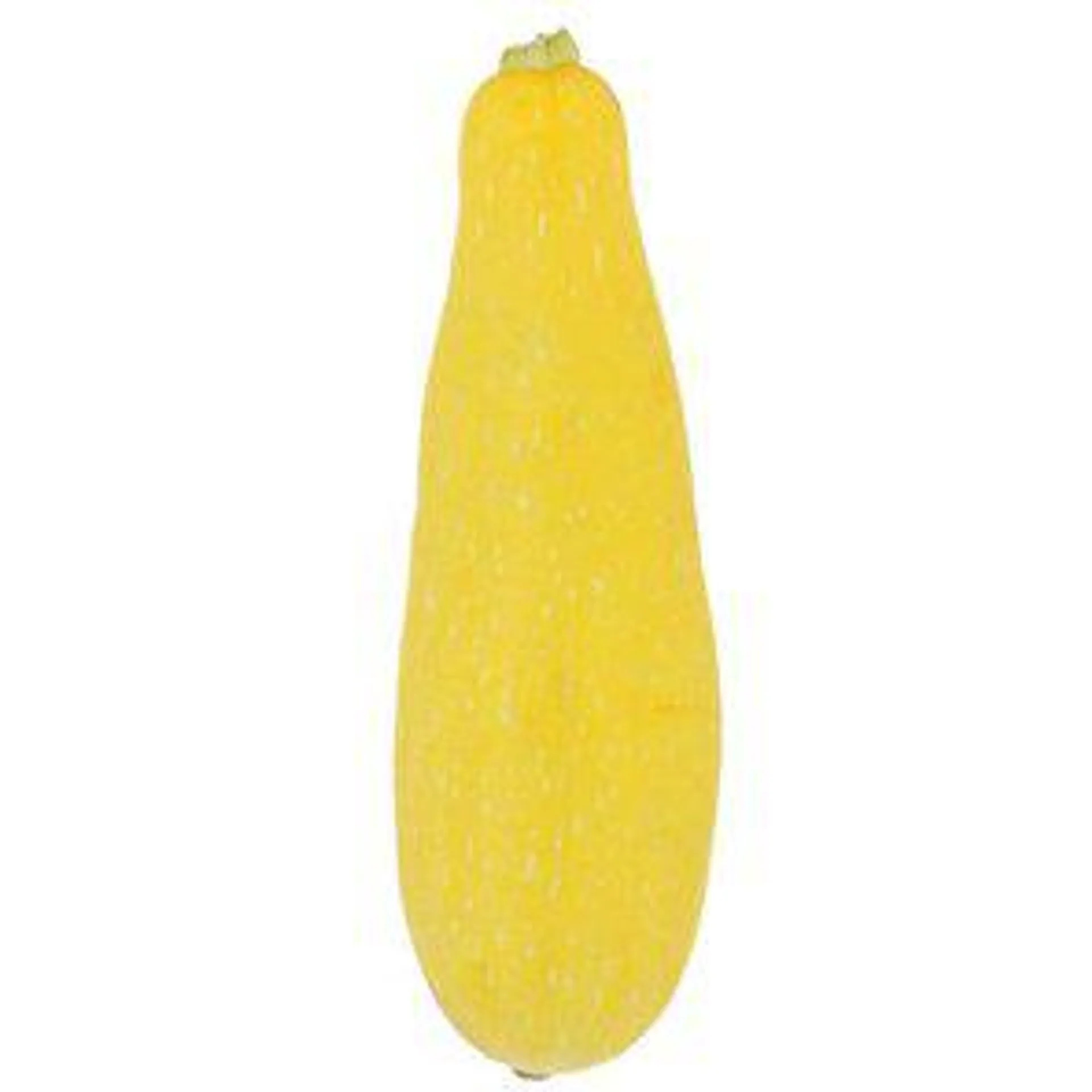 Fresh Yellow Squash