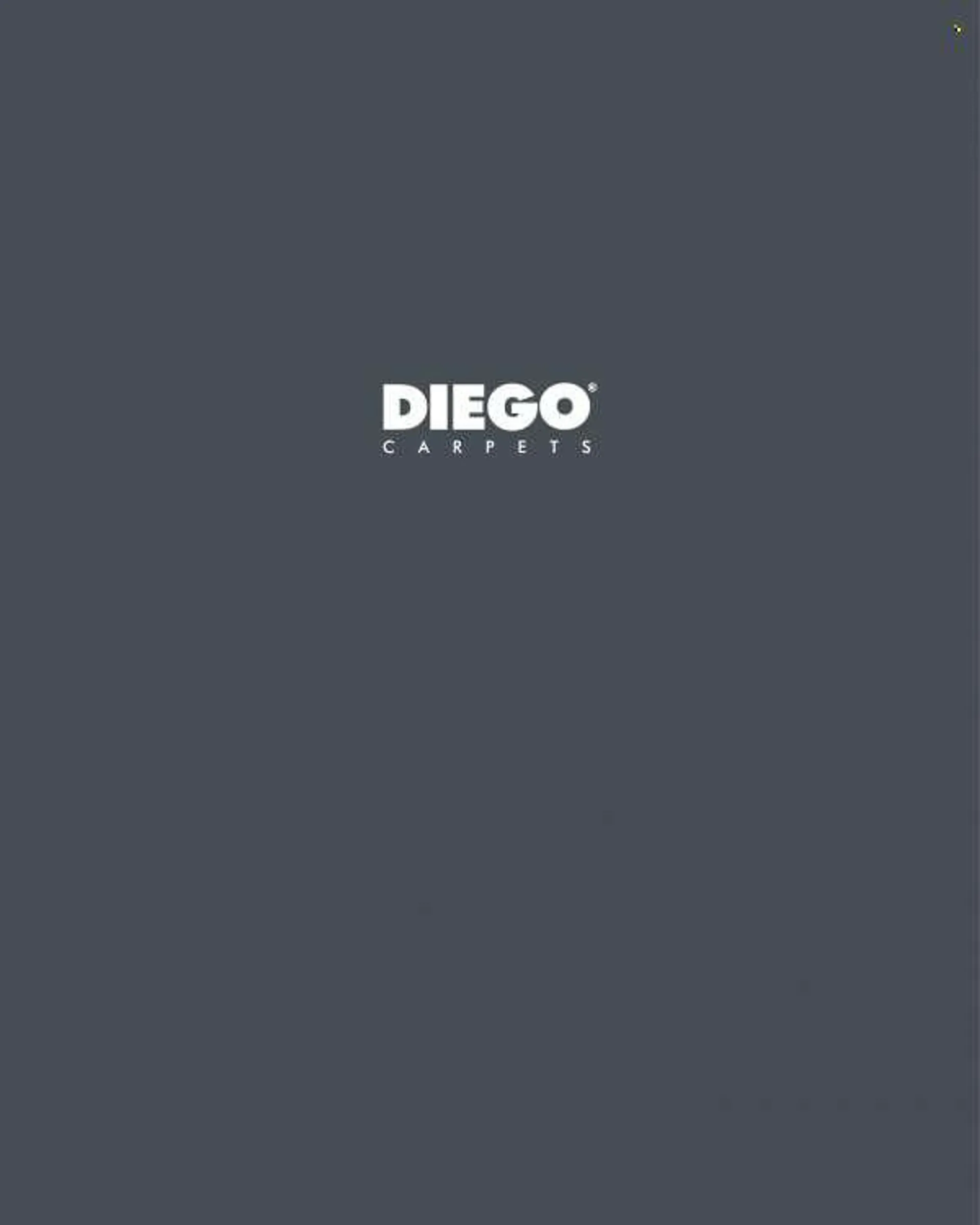Leták Diego. - 31. decembra 31. decembra 2022 - Page 3