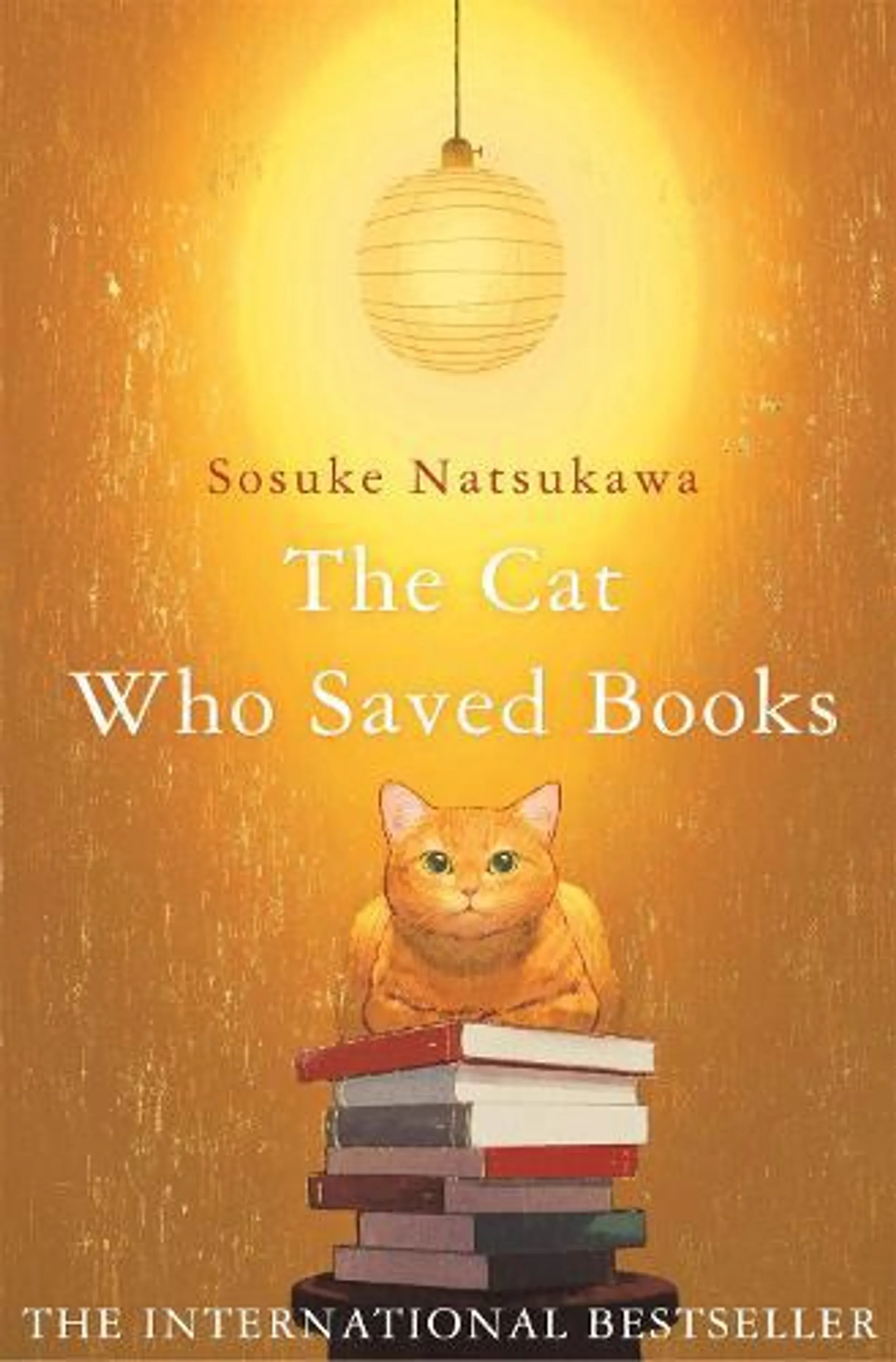 The Cat Who Saved Books (Paperback)