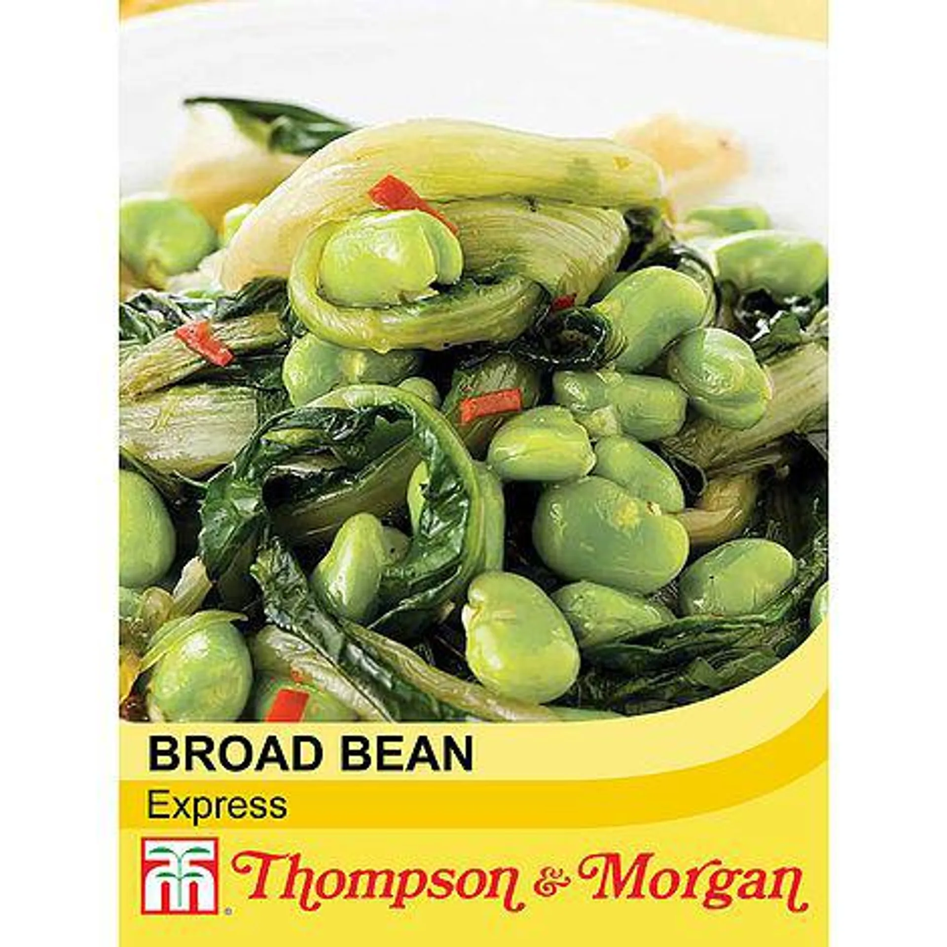 Broad Bean 'Express'