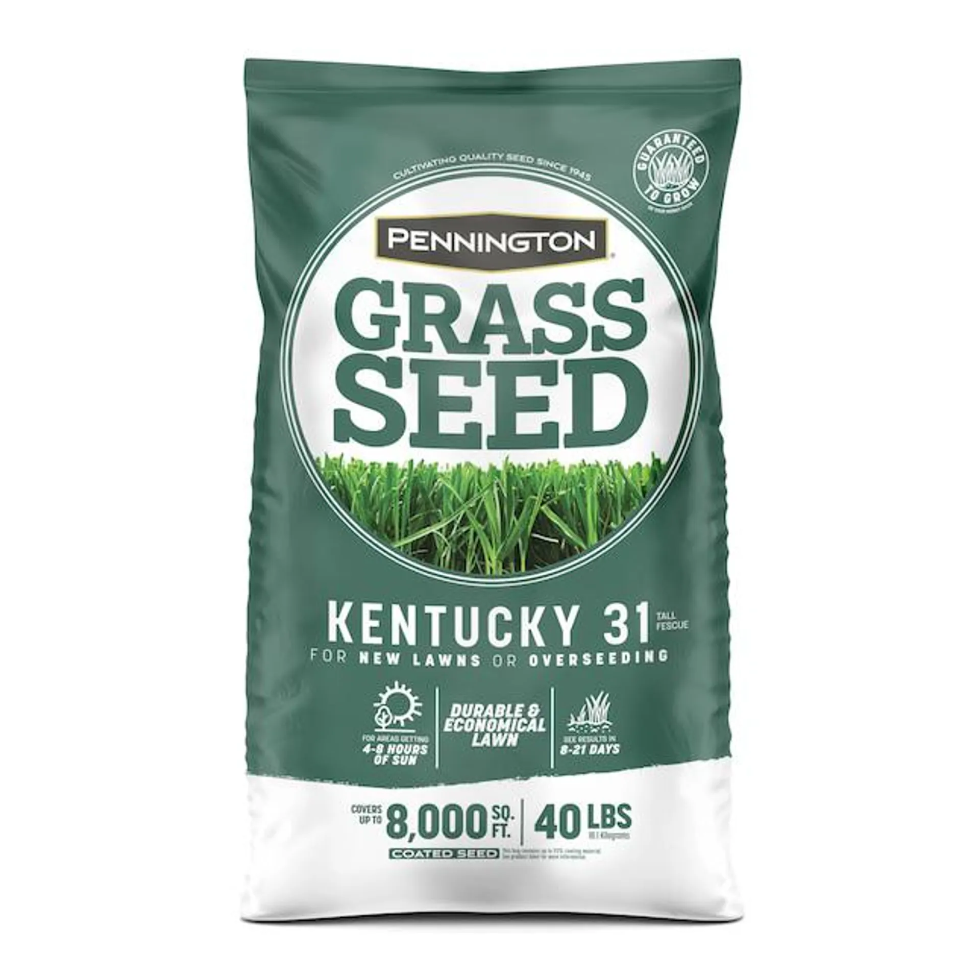 Pennington Kentucky 31 40-lb Tall Fescue Grass Seed