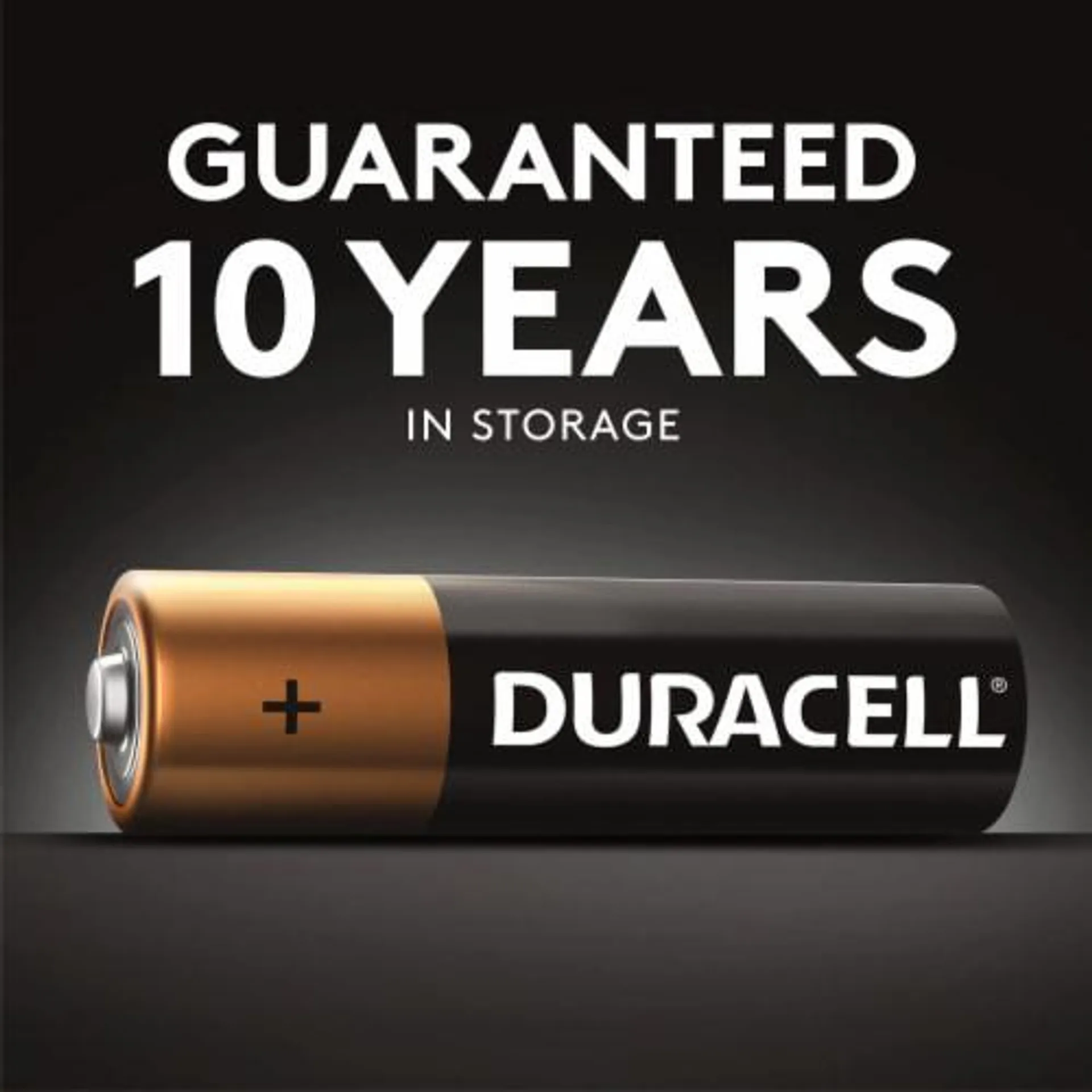Duracell® Coppertop AA Alkaline Batteries