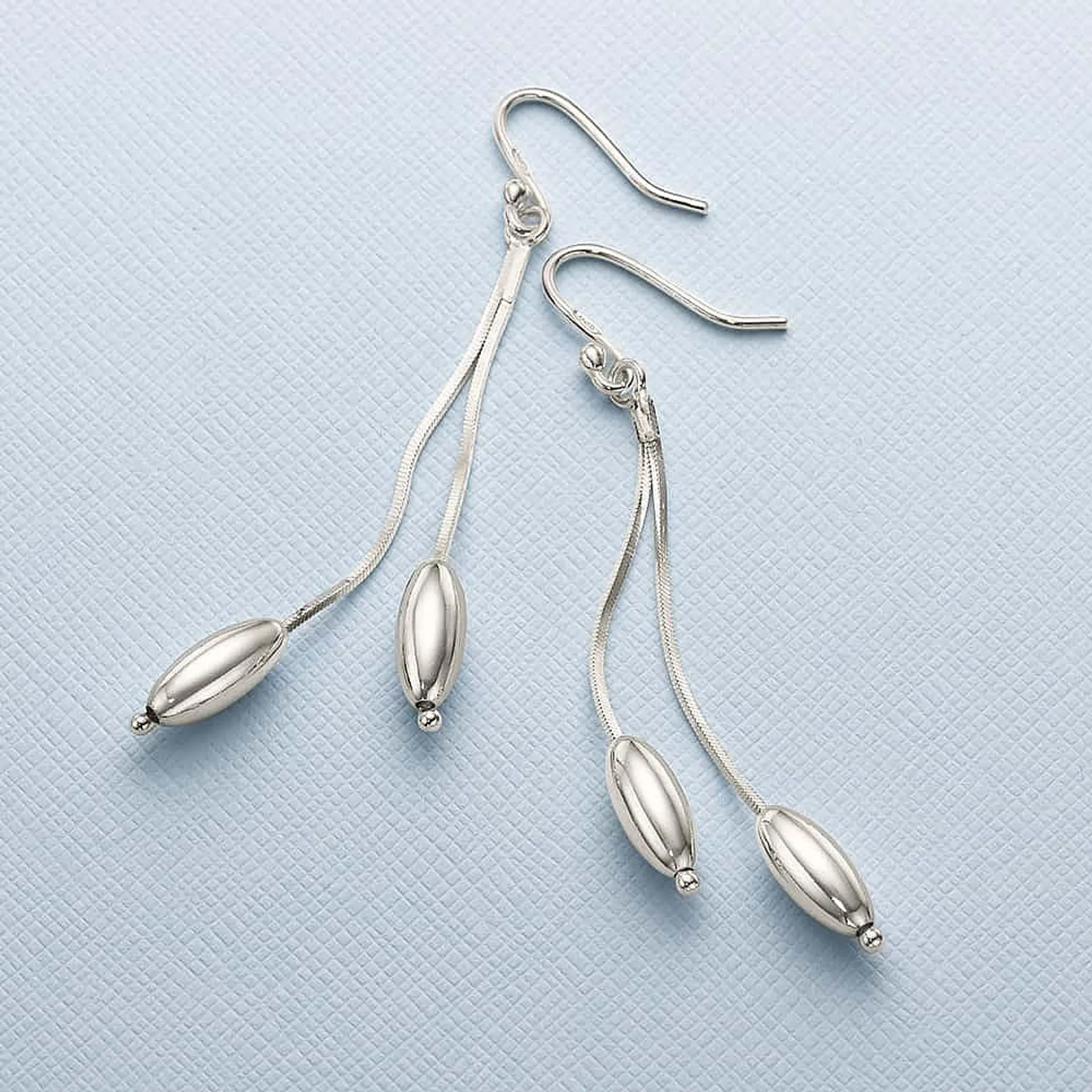 Dynamic Duo Silver Earrings