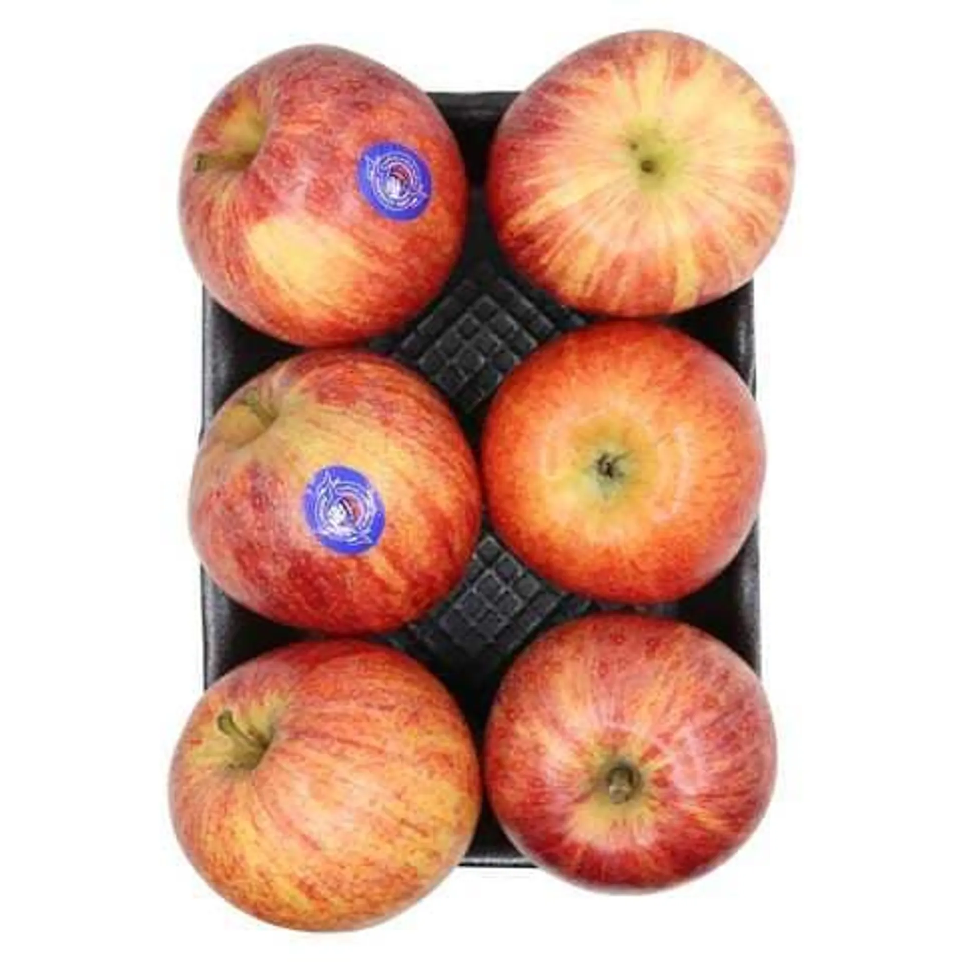 Apple Royal Gala 6-Piece Pack