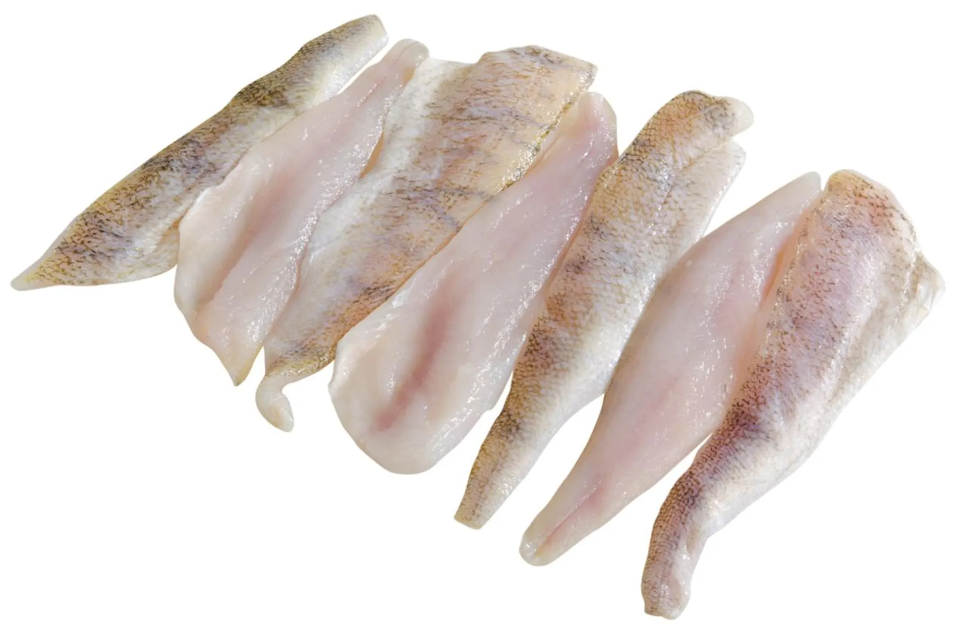 Eglifilets mit Haut frisch