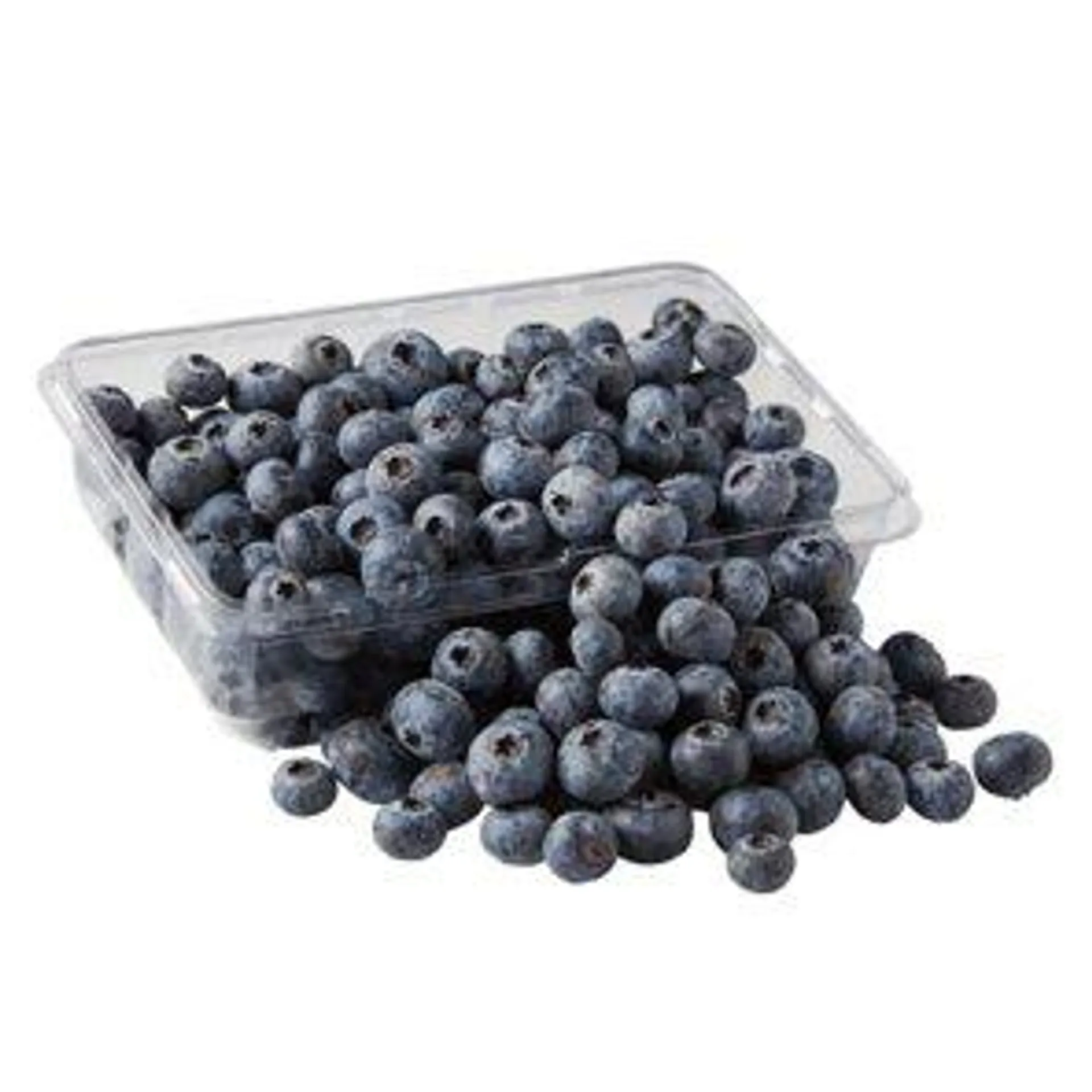 Fresh Blueberries