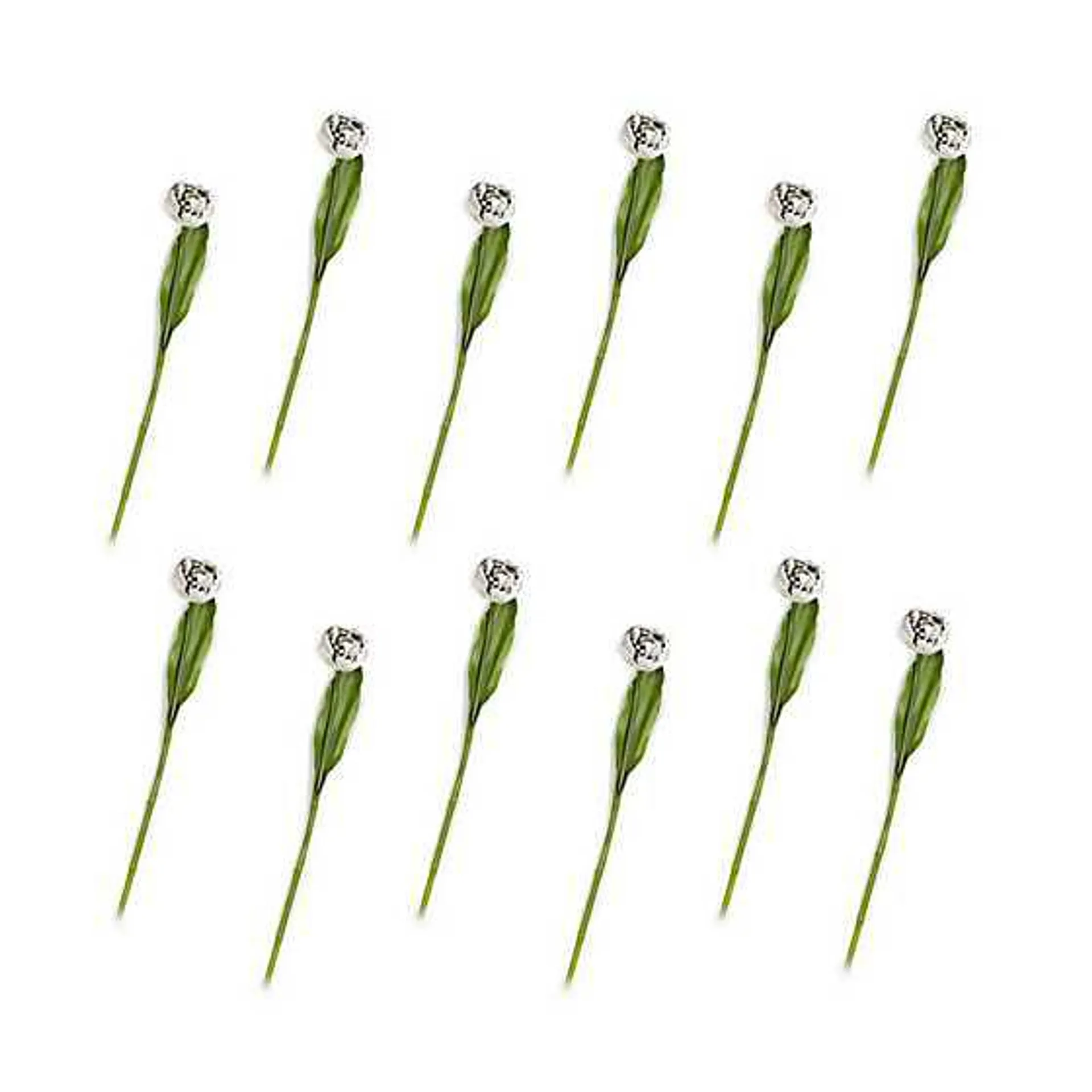 Parrot Tulip Bouquet - Ivory - Set of 12