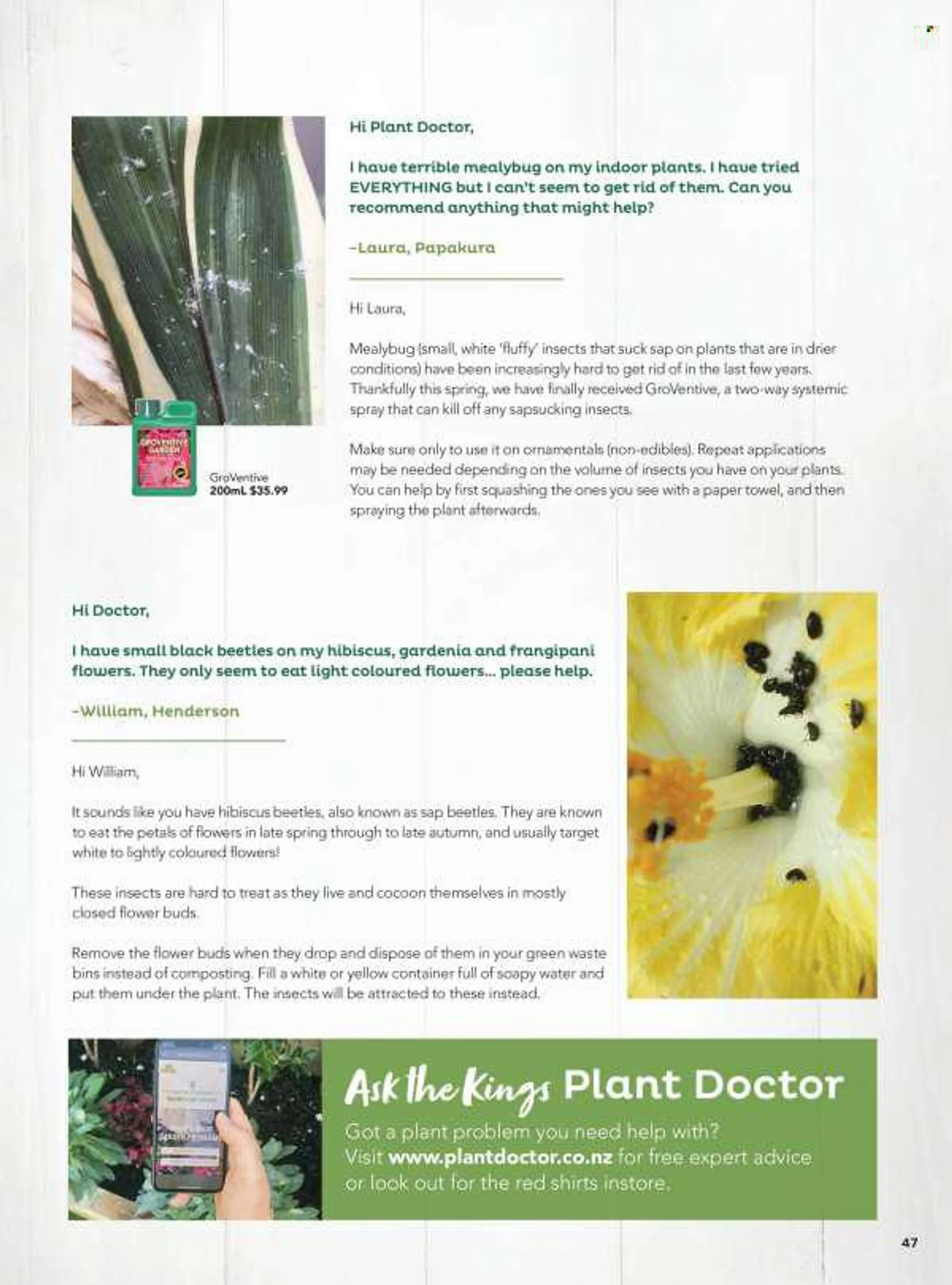 Kings Plant Barn mailer. - 31 December 31 December 2022 - Page 47