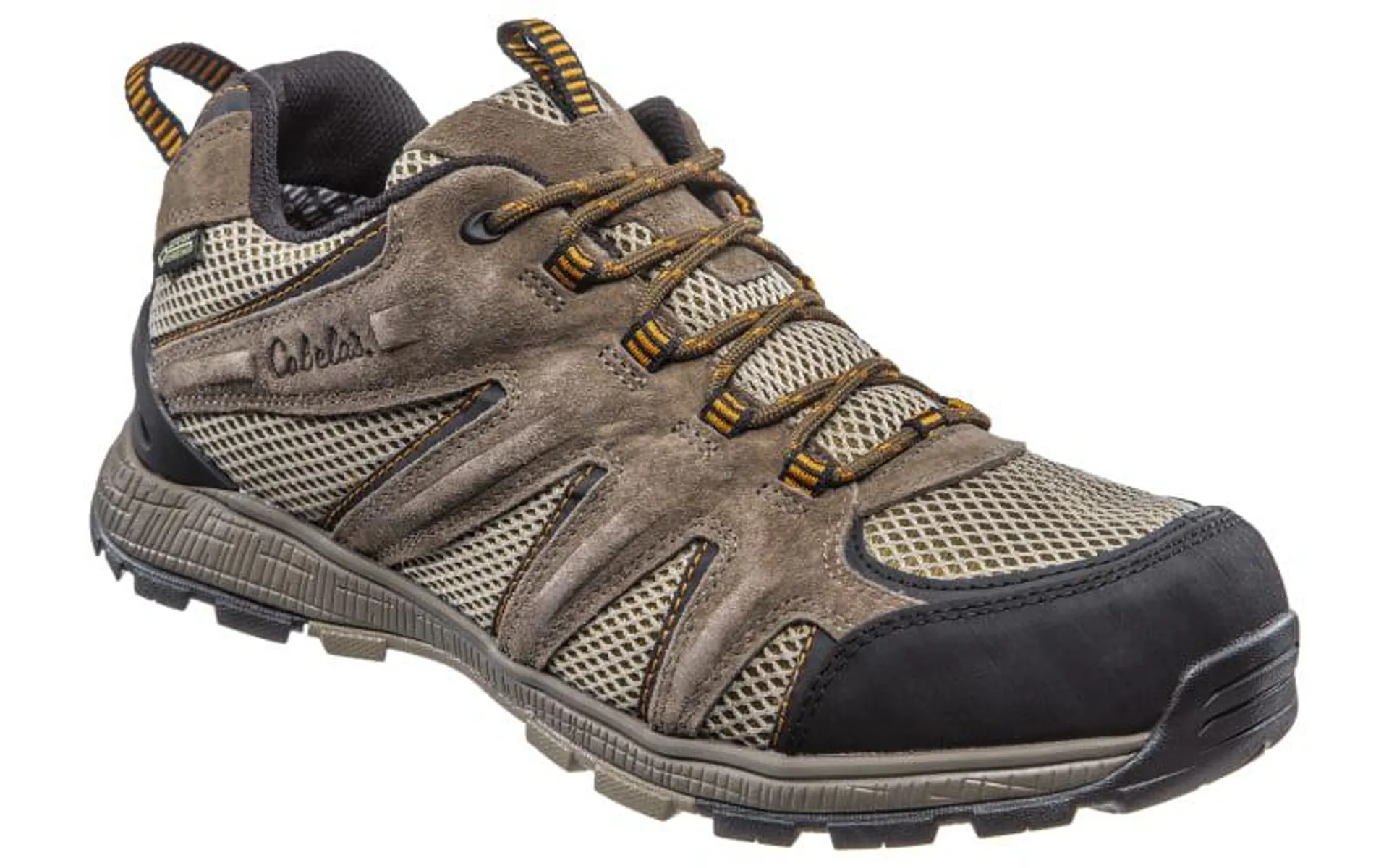 Cabela's 360 Low GORE-TEX Hiking Shoes for Men