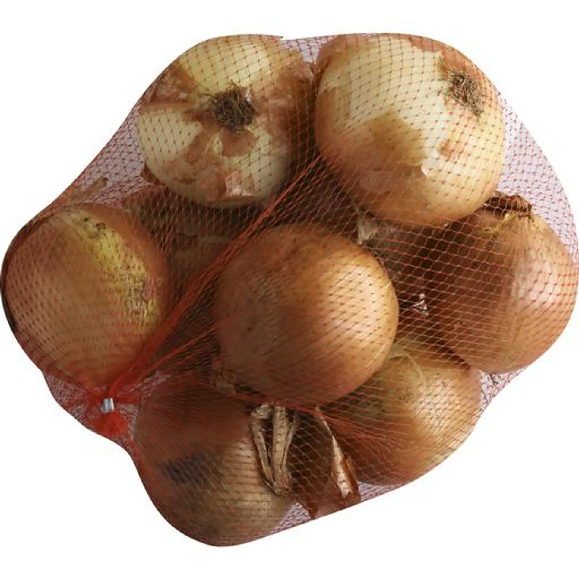 Fresh From The Start Premium Yellow Onions
