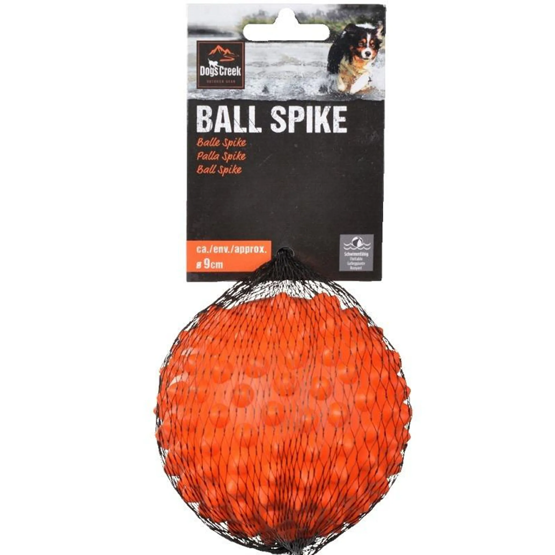 Dogs Creek Ball Spike Toy