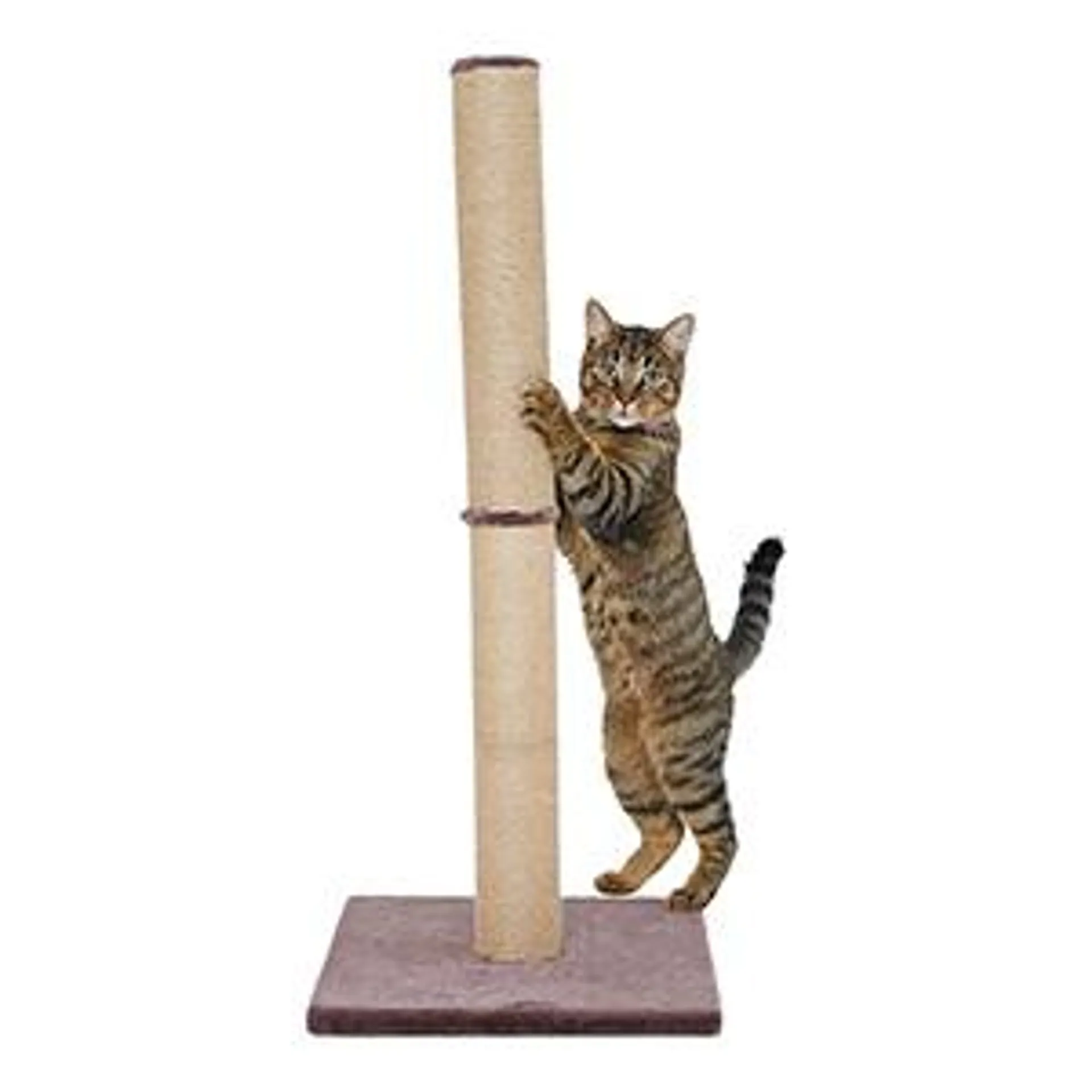 Pets at Home Thompson Tall Cat Scratch Post