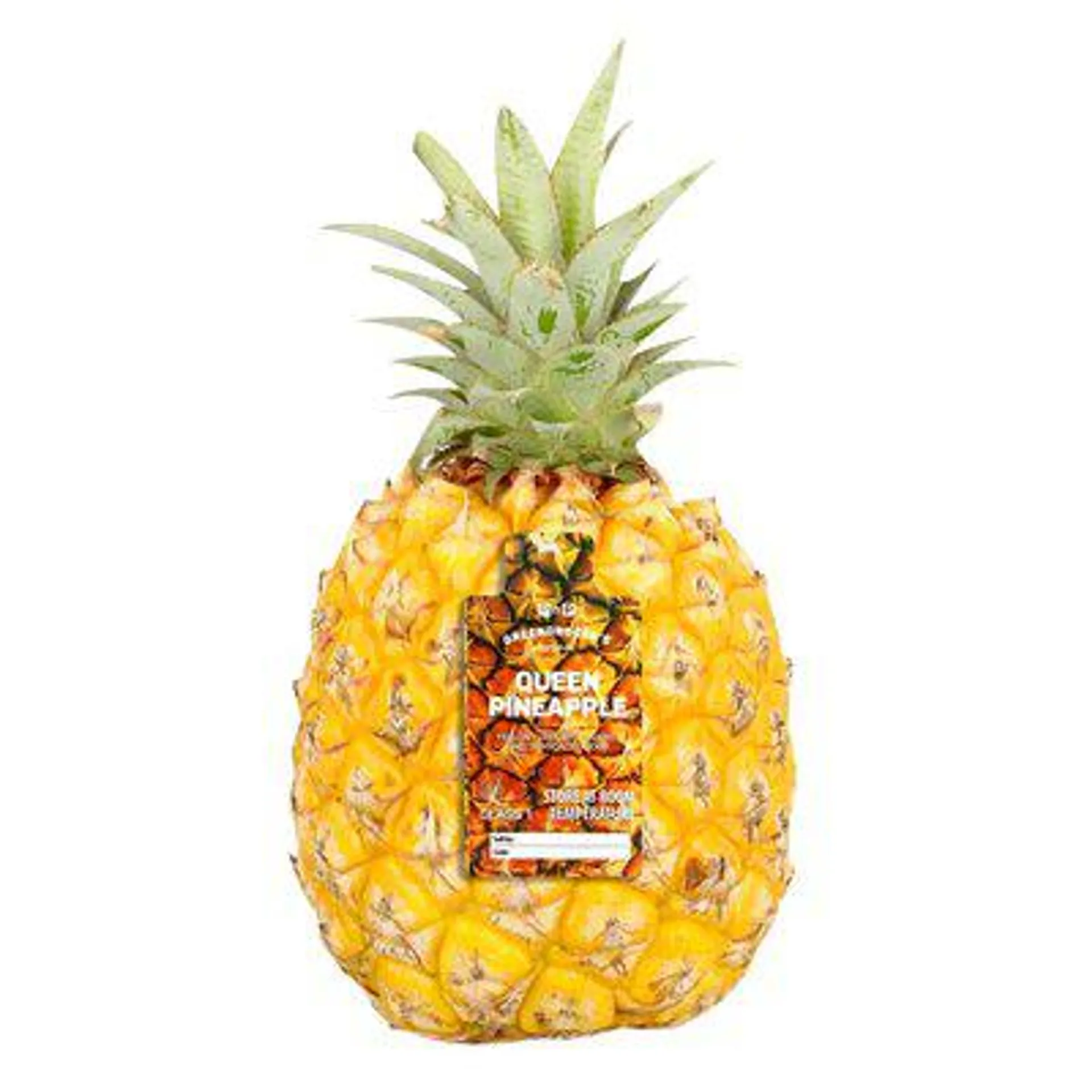 PnP Queen Pineapple