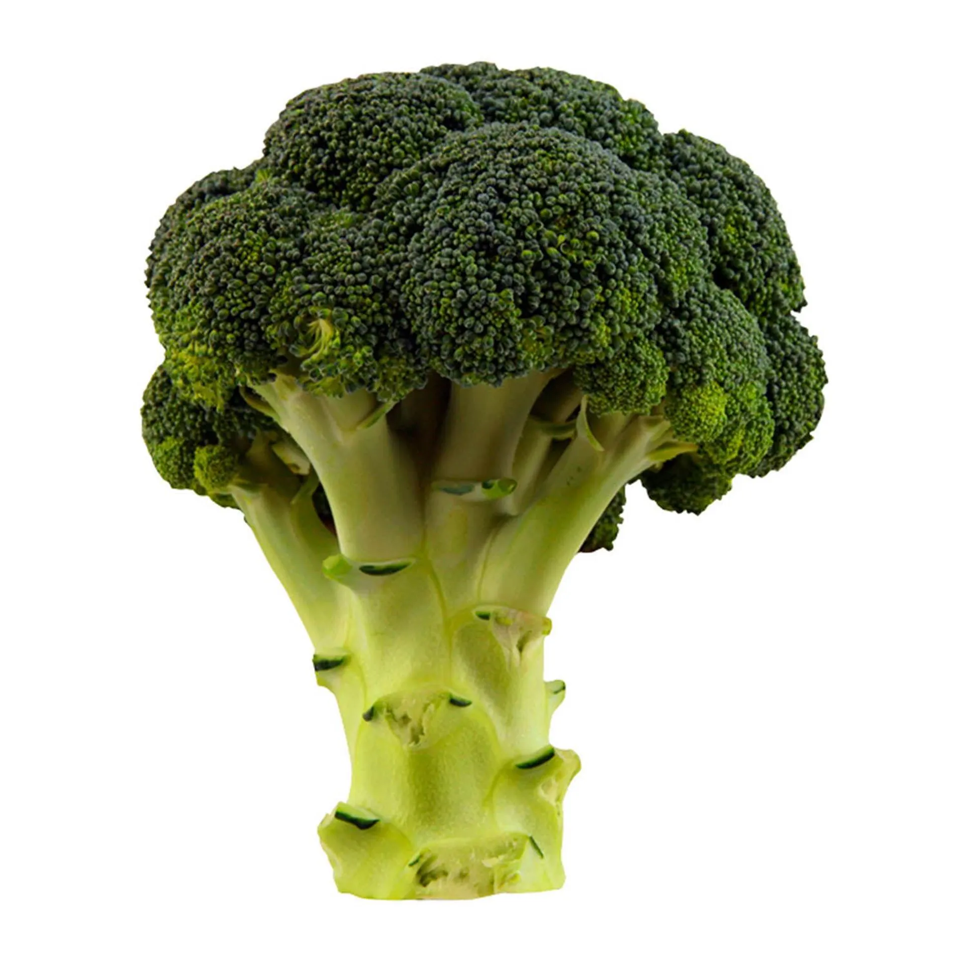 Brocoli films un.