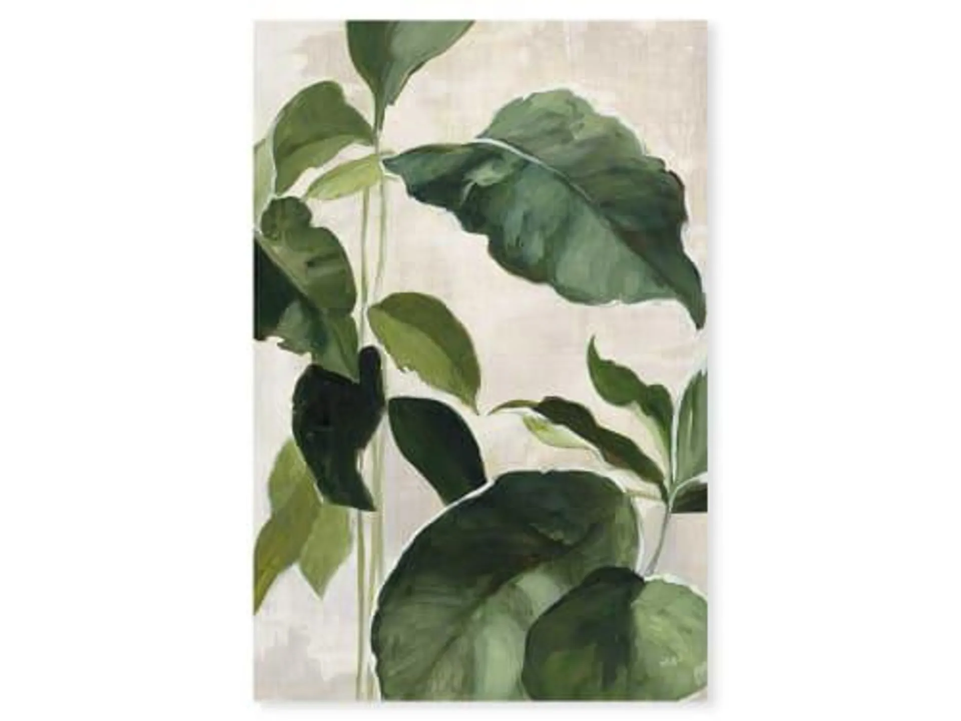 Pittura Acquerello botanica Stampa su tela 30x50cm