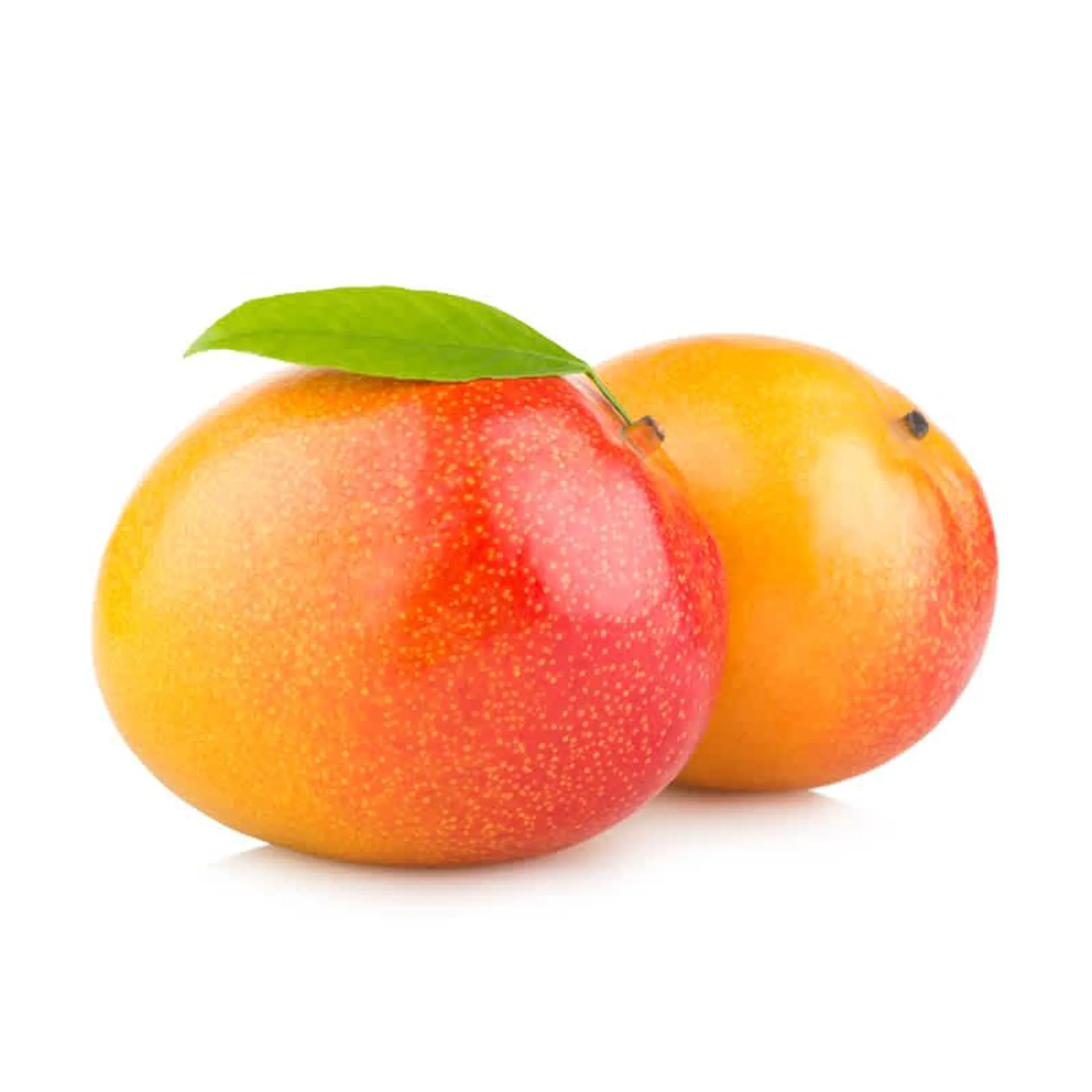 Mango Grueso
