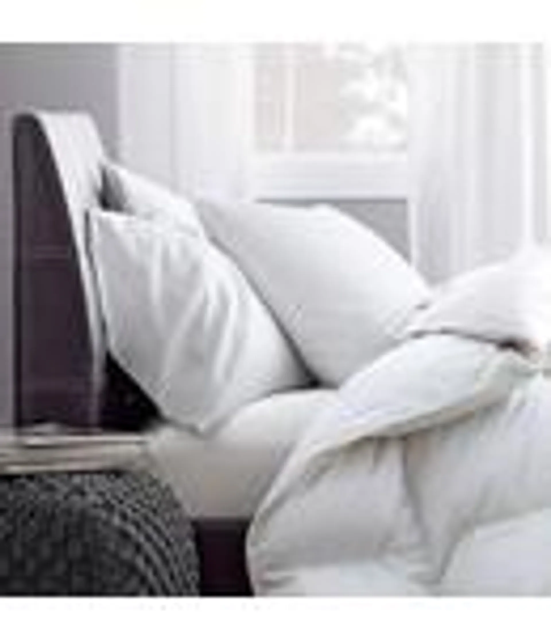LAUREN TAYLOR GOOSE FEATHER FILLED PILLOW (MP12)