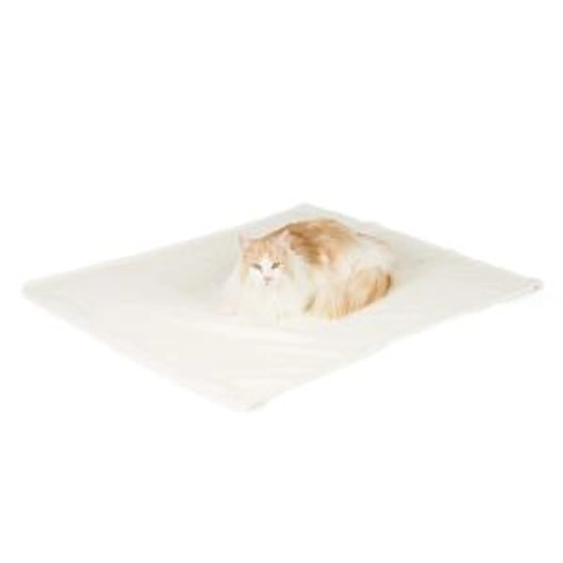 Pets at Home Luxury Micro Berber Cat Blanket Cream
