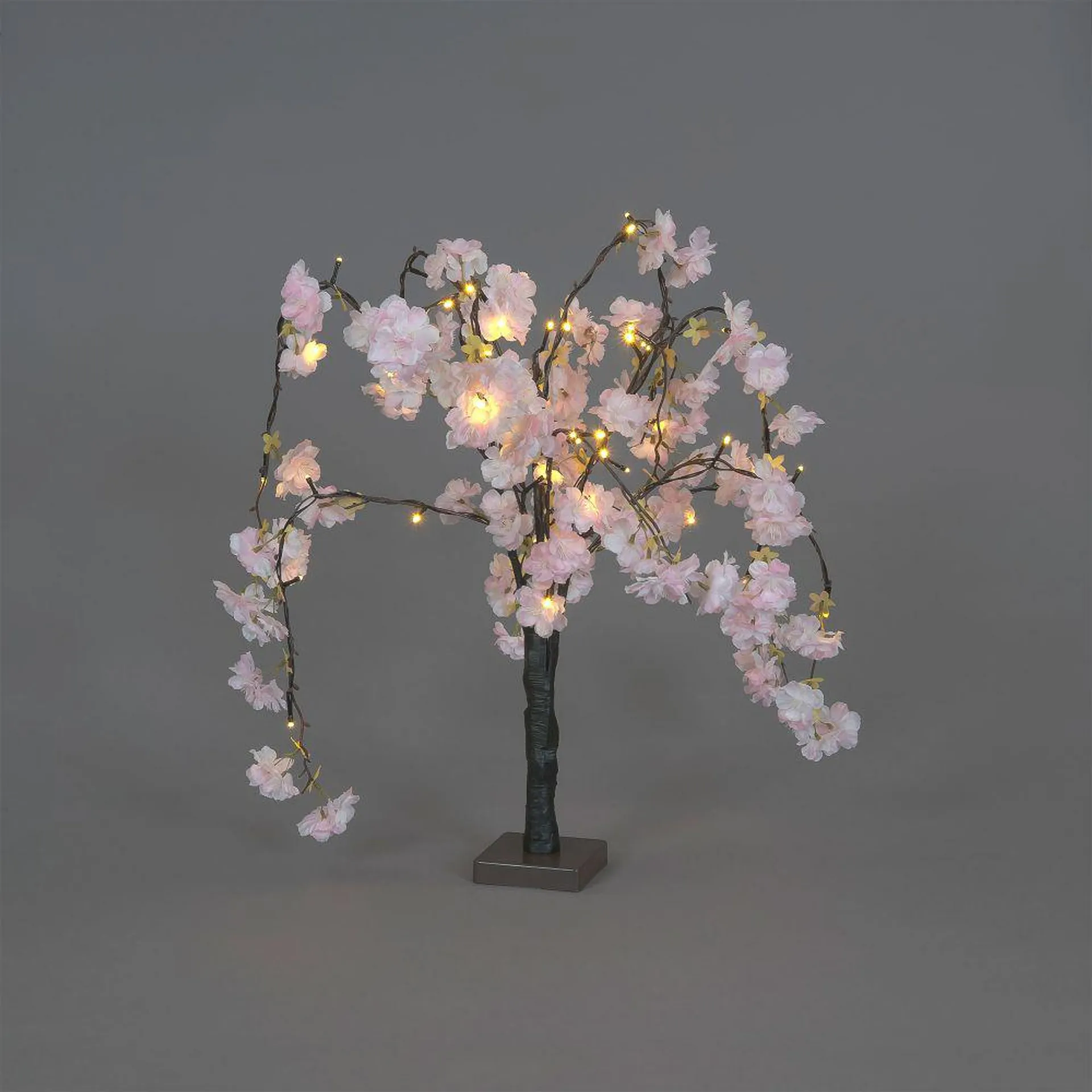 60m Cherry Blossom Tree With 48 Pale Pink Flowers