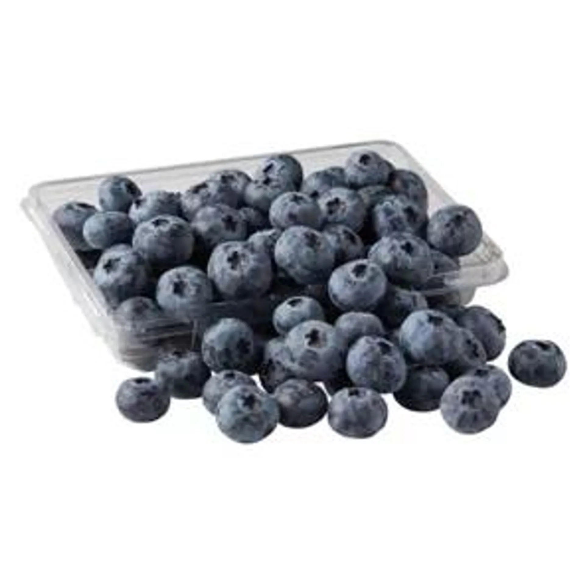 Fresh Jumbo Blueberries