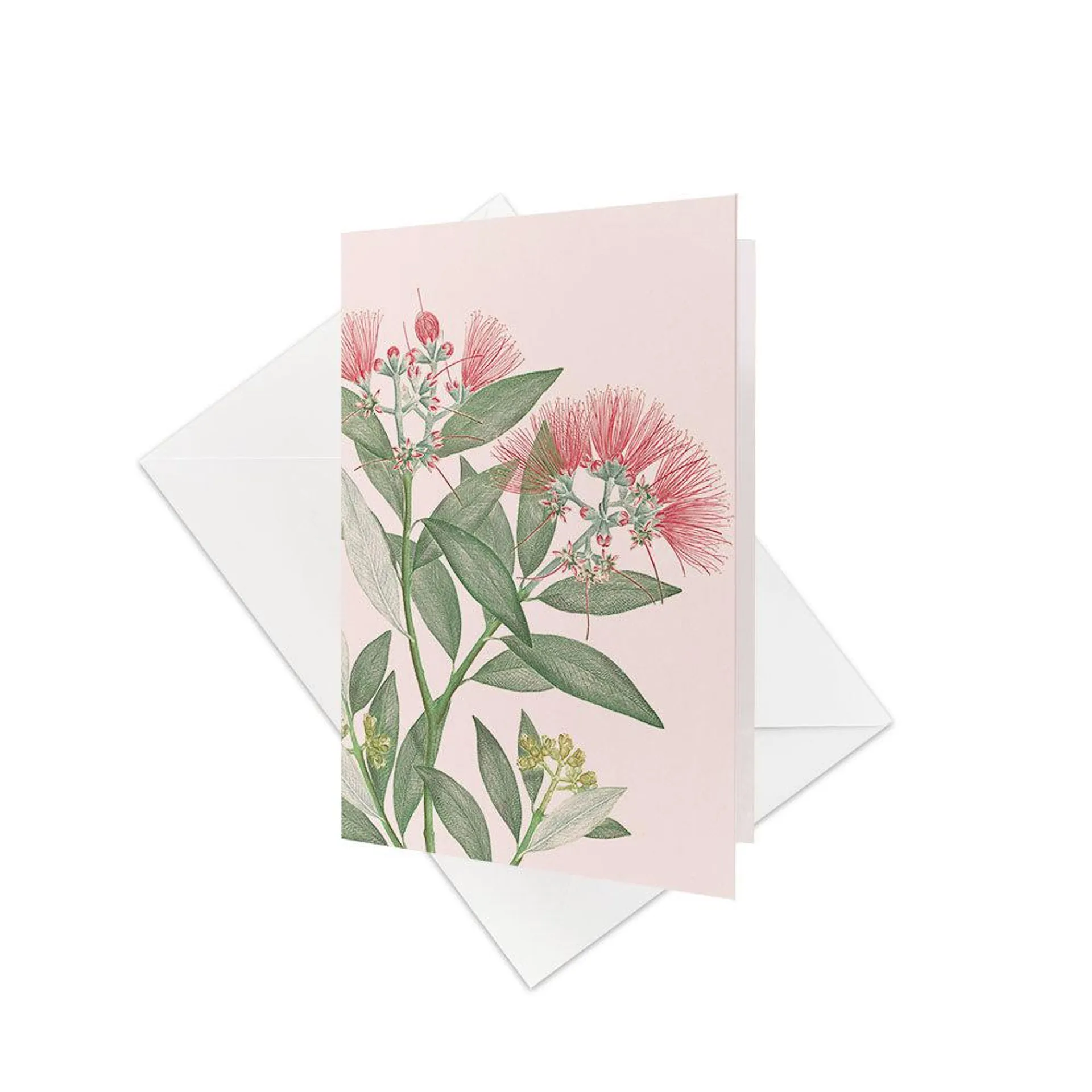 Vintage Botanical Pohutukawa Gift Card & Envelope