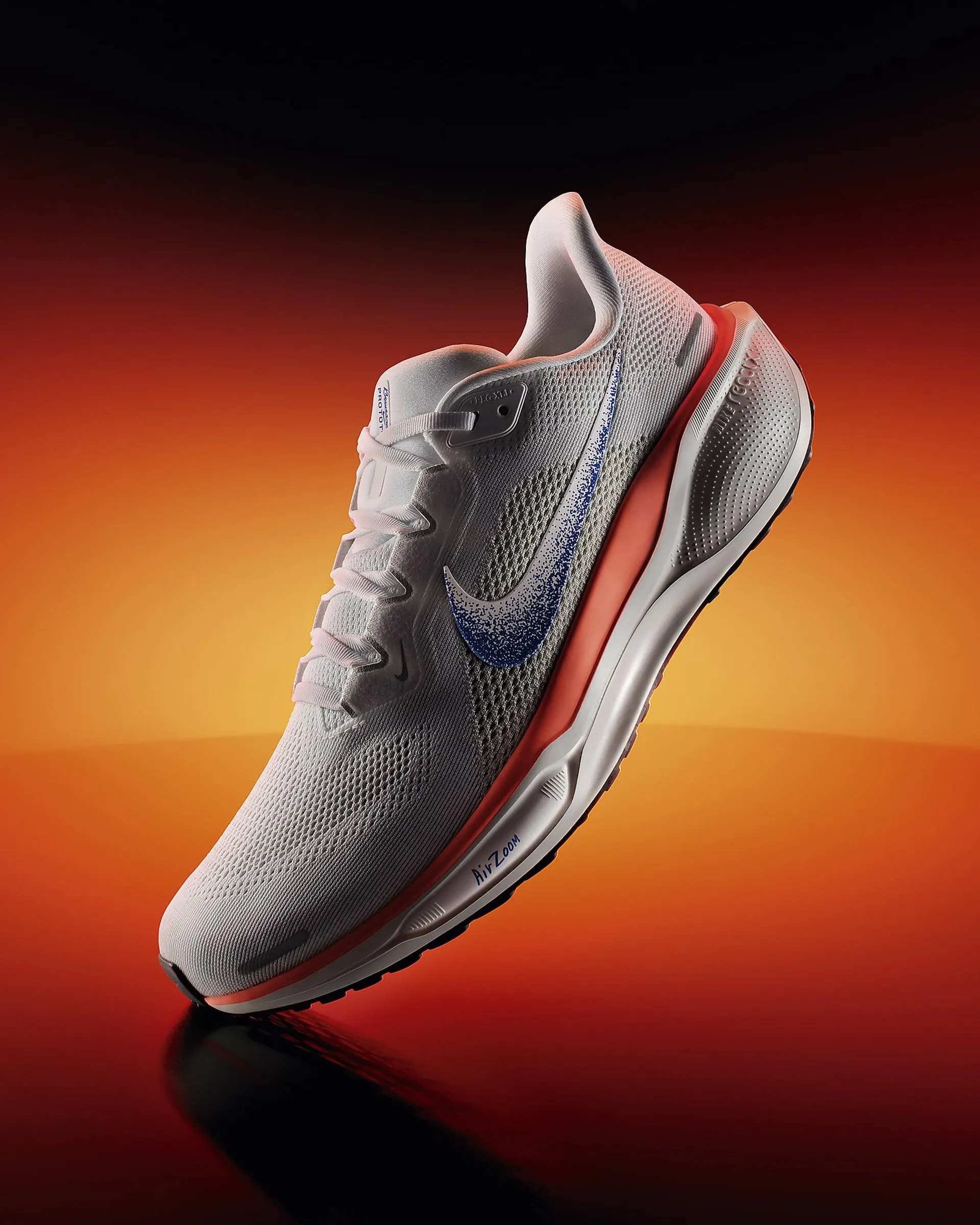 Nike Pegasus 41 Blueprint