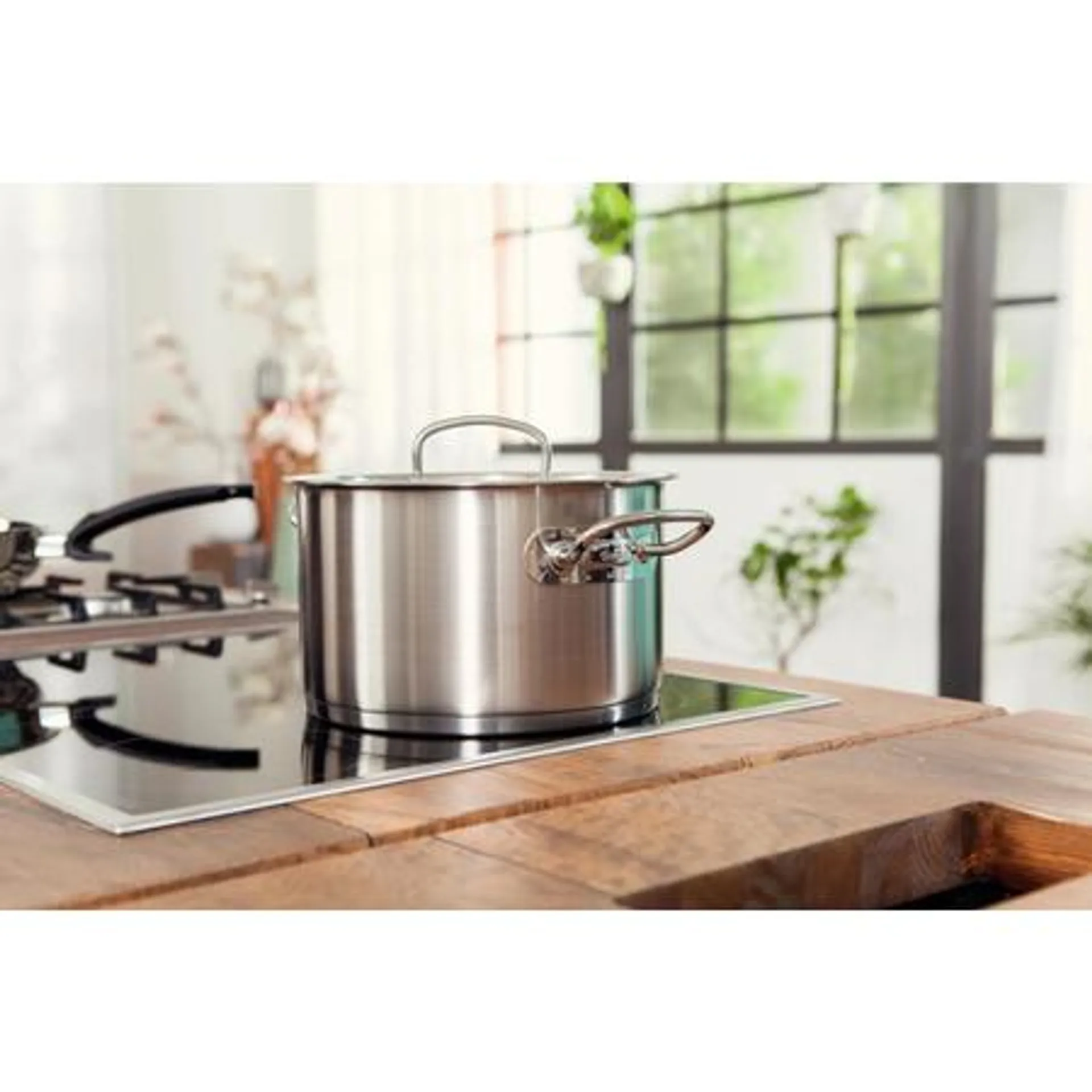 Fissler Χύτρα Ανοξείδωτη Original Profi 28cm -10lt