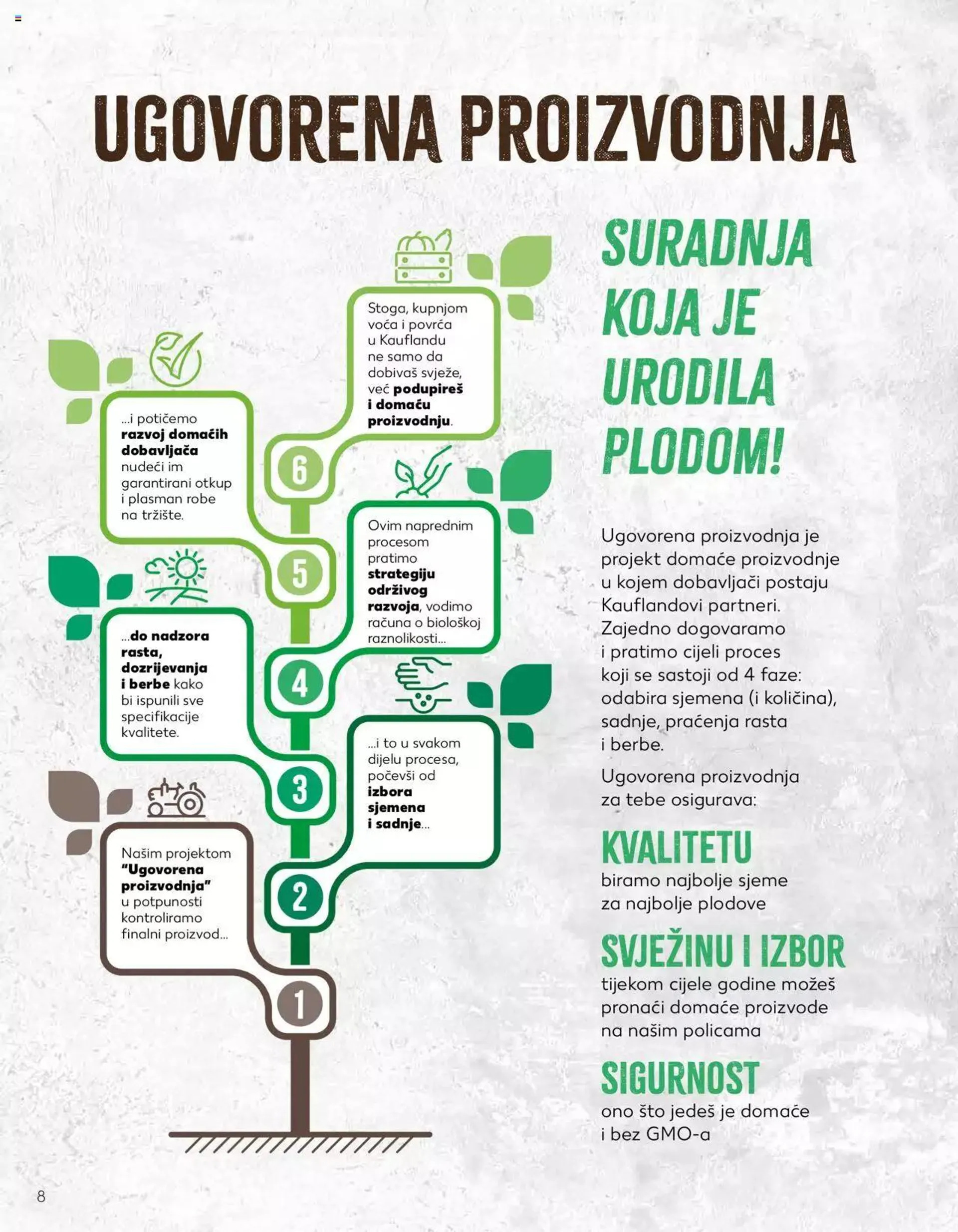 Katalog Katalog Voće i povrće Kaufland od 23. siječnja do 31. prosinca 2024. - Pregled Stranica 8