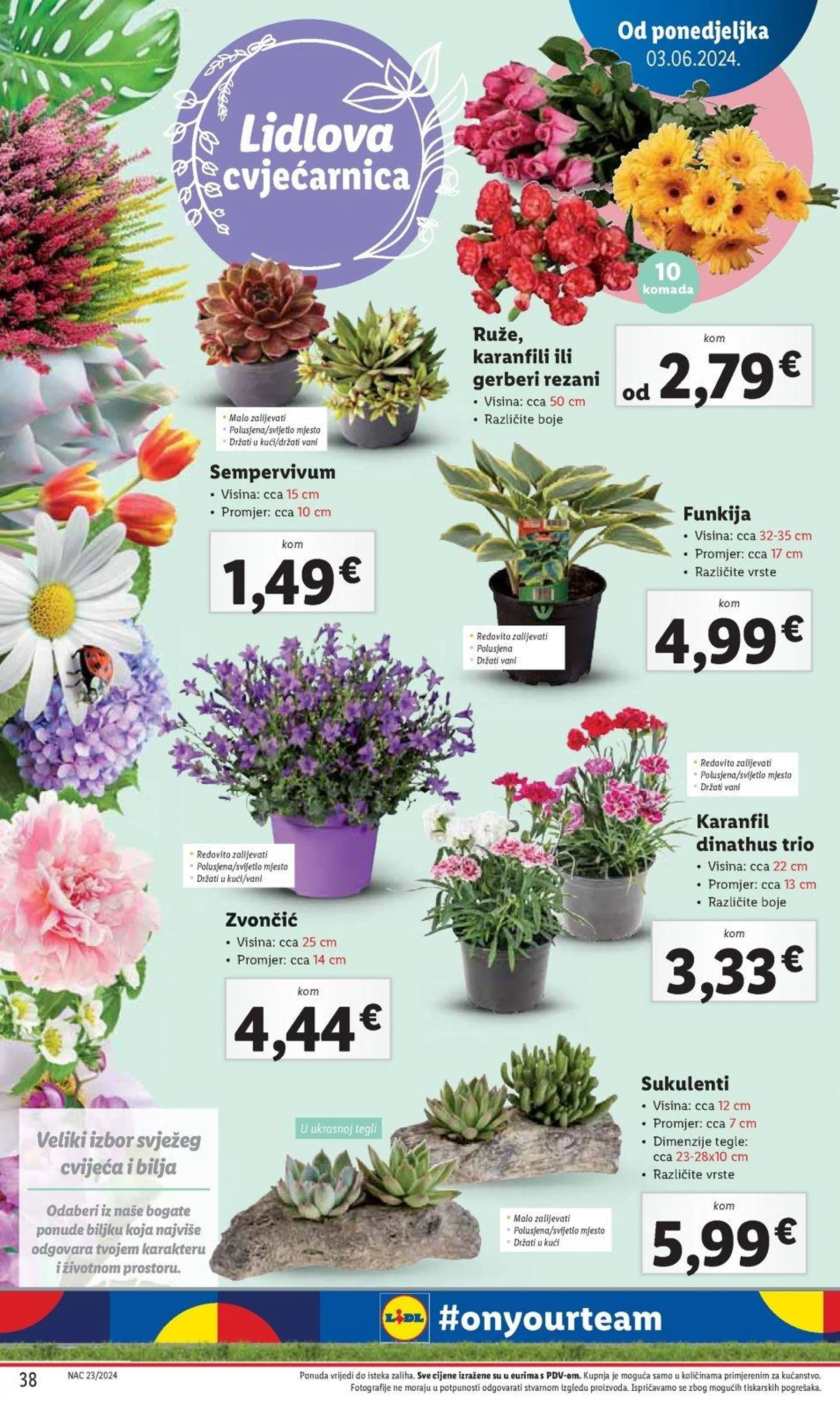 Lidl katalog do 09.06.2024 - 37