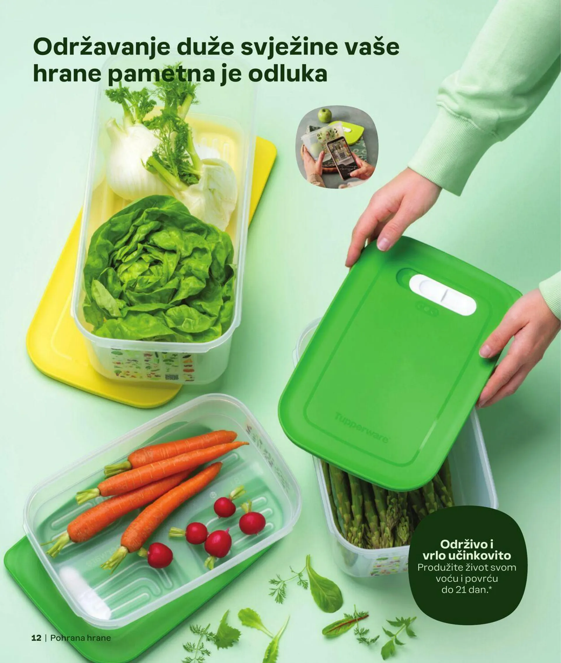 Katalog Tupperware od 16. listopada do 10. studenoga 2024. - Pregled Stranica 12