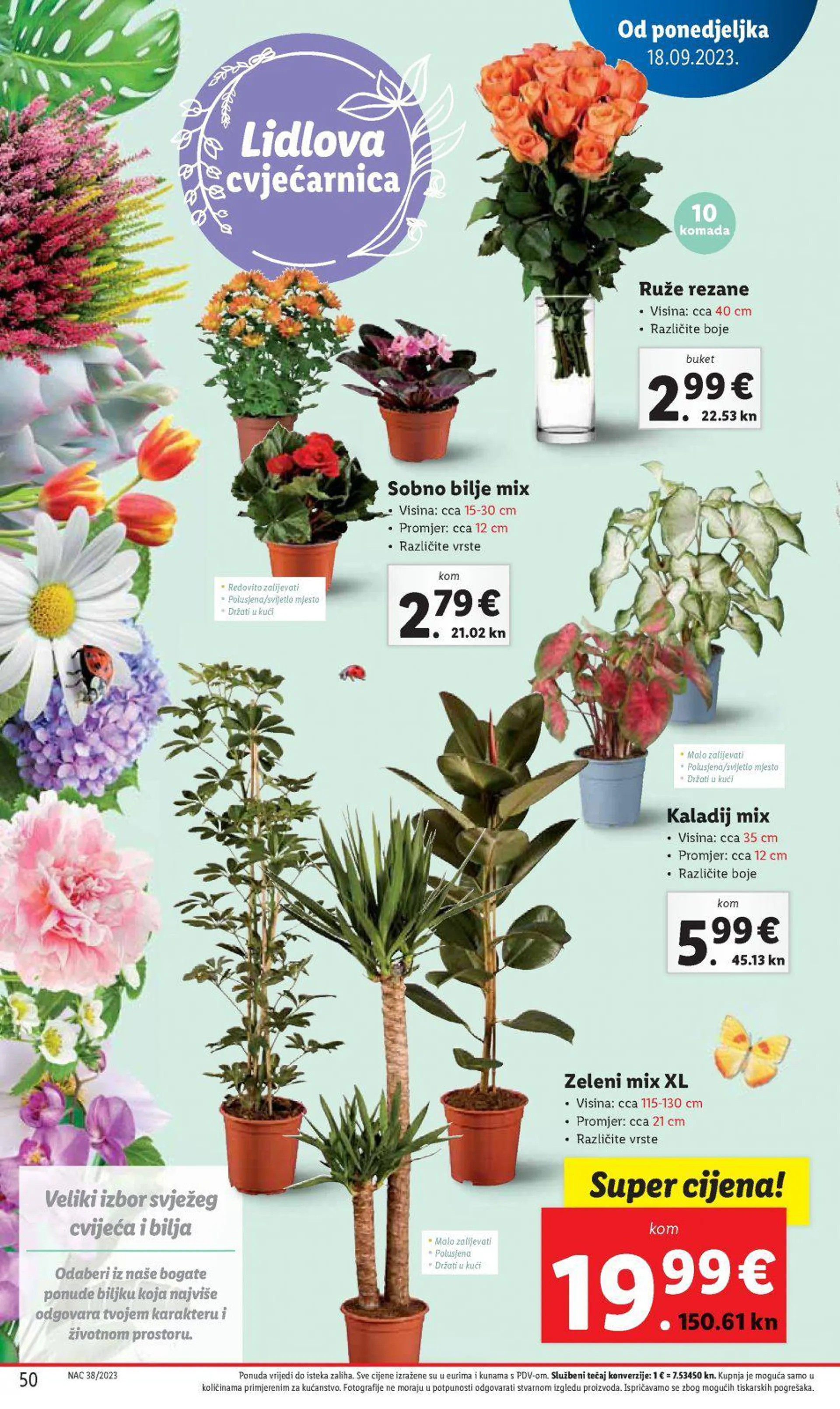 Lidl katalog do 24.09.2023 - 49