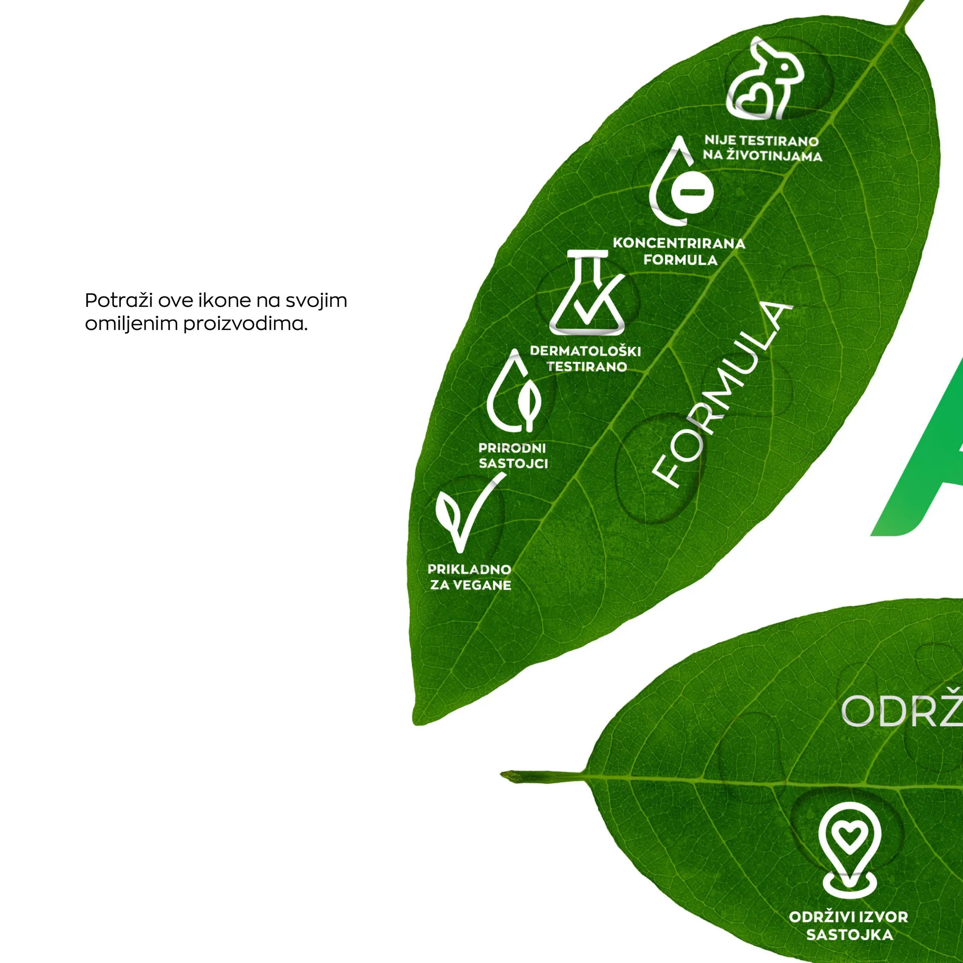 Katalog Avon od 1. prosinca do 31. prosinca 2023. - Pregled Stranica 4