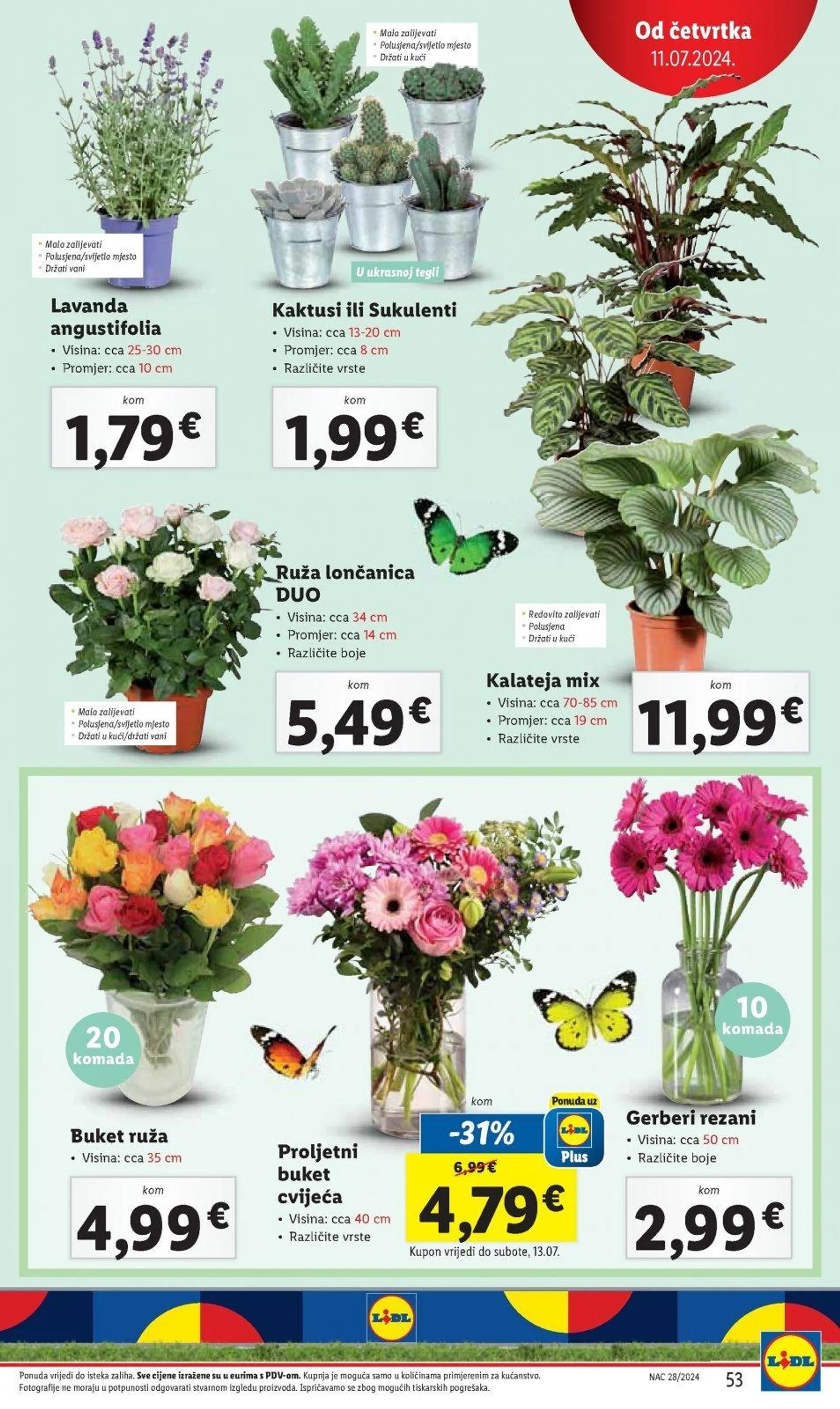 Katalog Lidl katalog do 14.07.2024 od 4. srpnja do 14. srpnja 2024. - Pregled Stranica 53