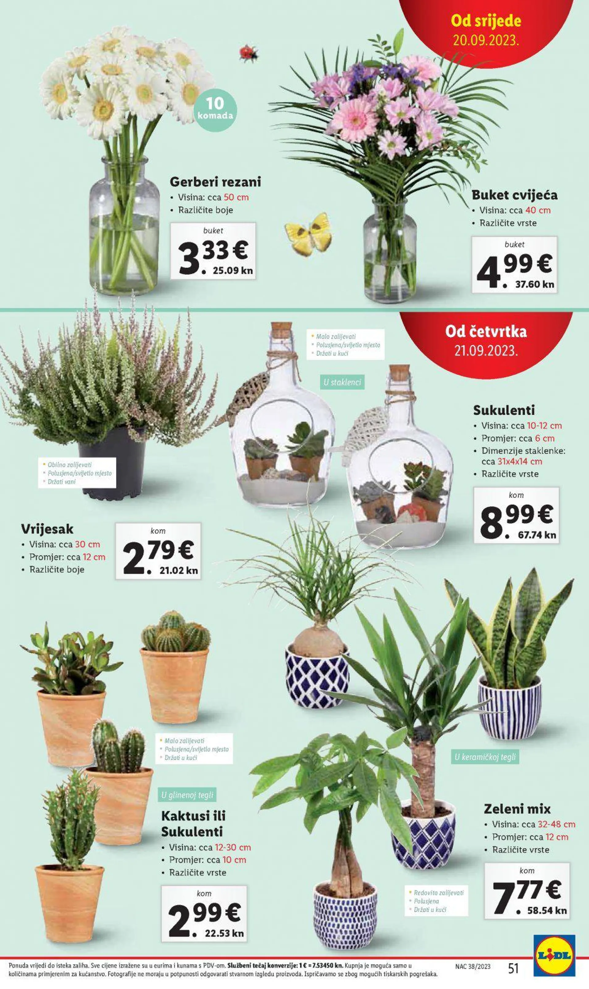 Lidl katalog do 24.09.2023 - 50