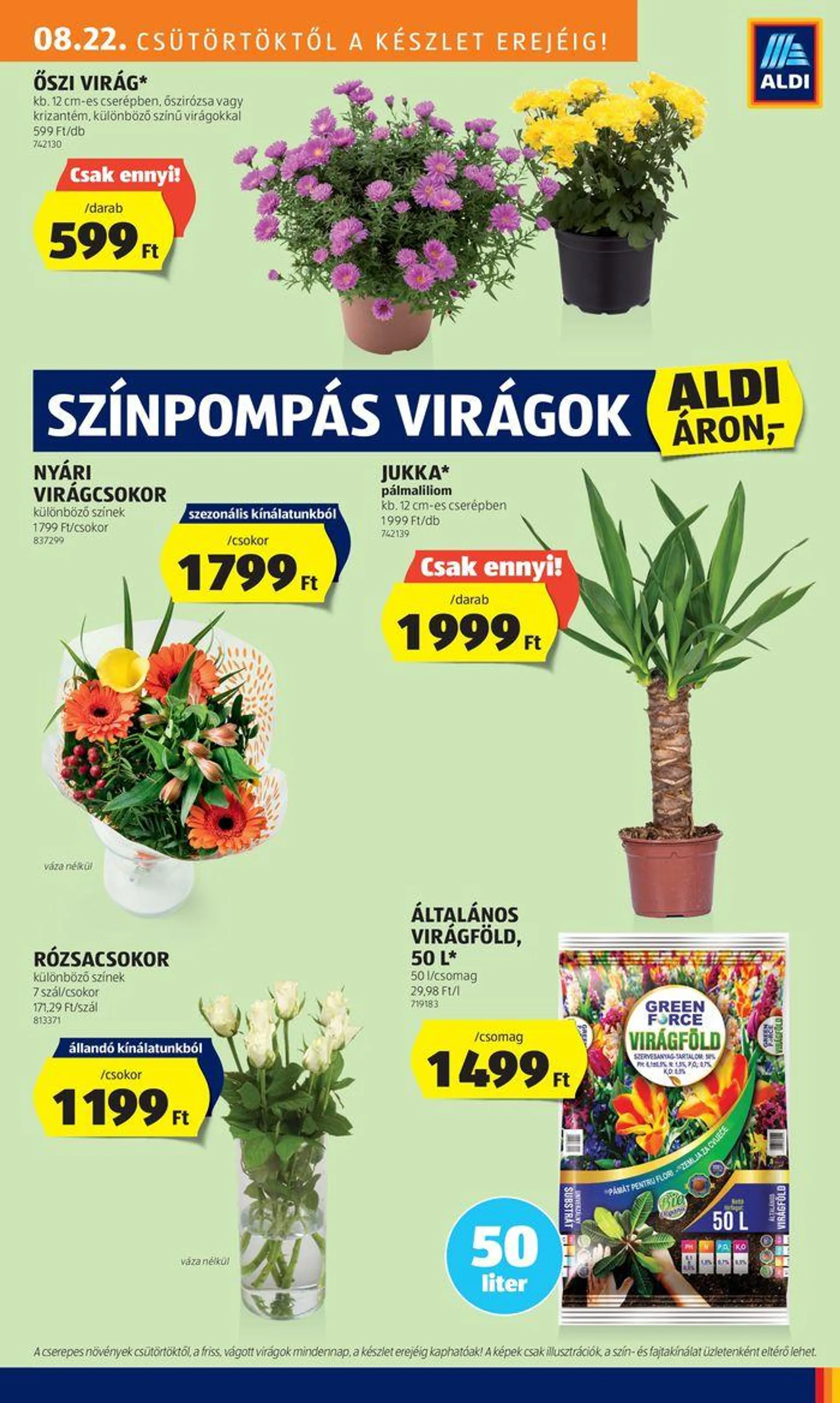 Aktuális ALDI akciós újság - 25