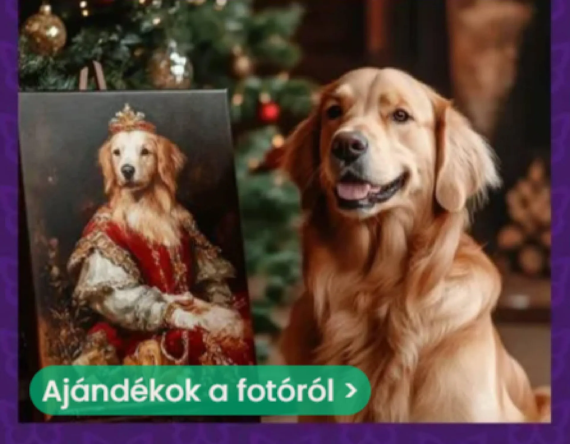 Katalógus Képház akciós újság november 21.-tól december 16.-ig 2024. - Oldal 2