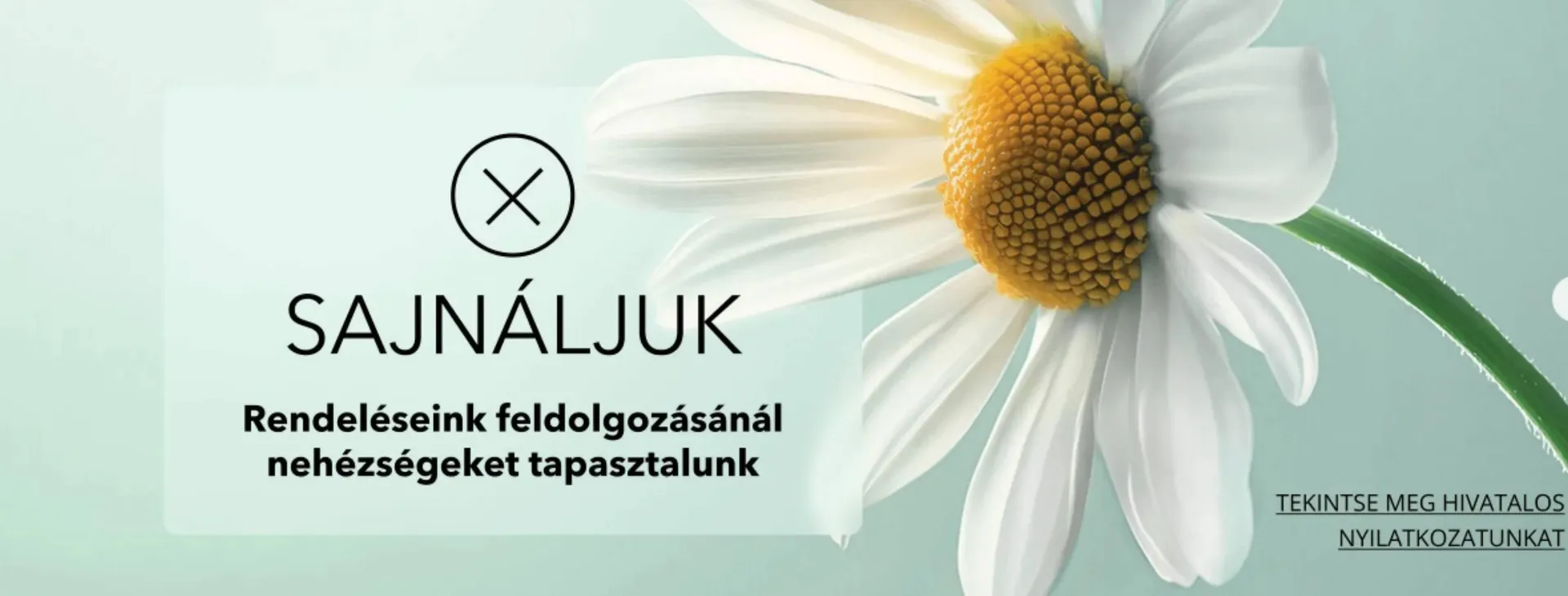 Yves Rocher akciós újság - 1